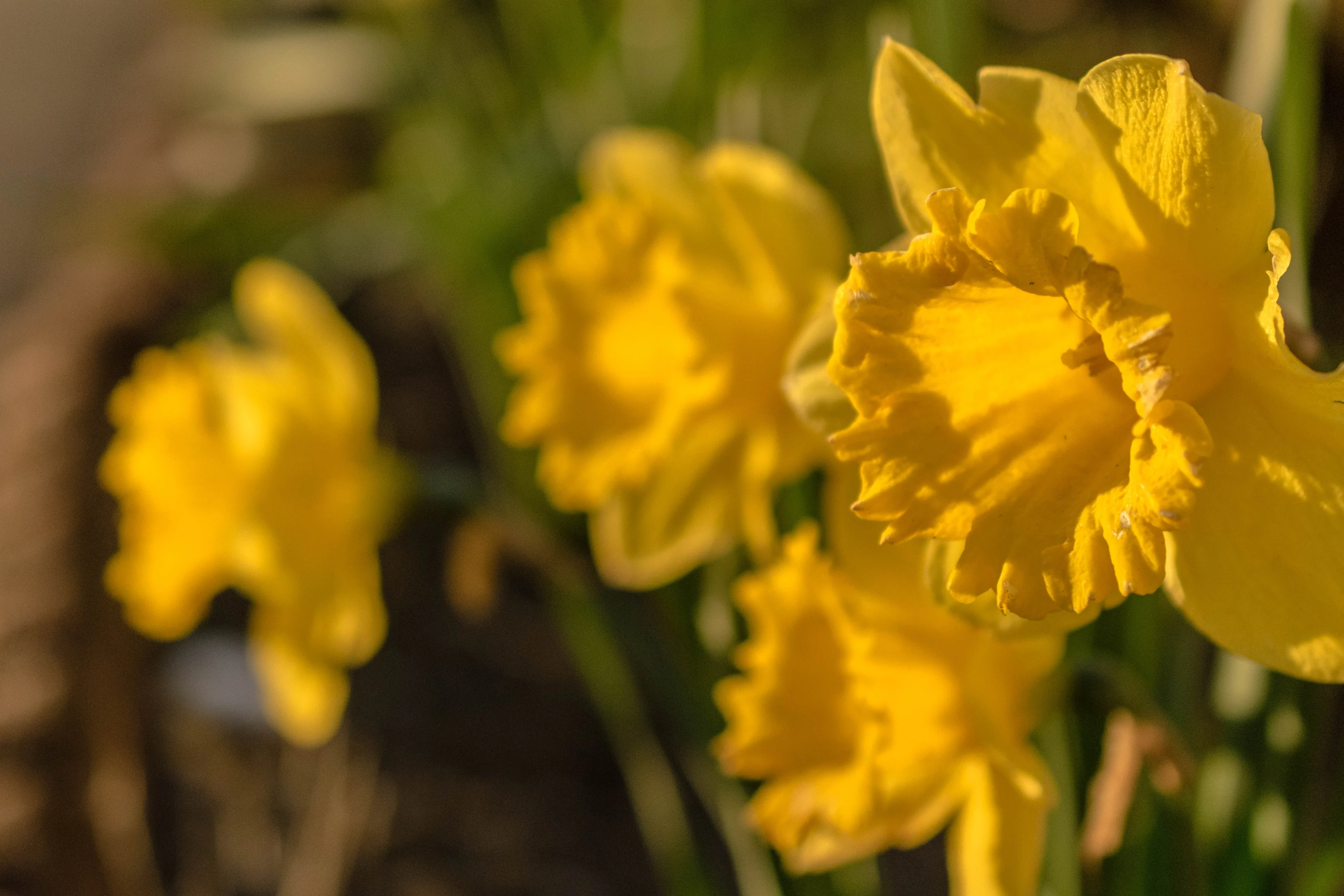 Wisselvallig paasweer met zomerse zondag, maar: 'Blijf thuis'