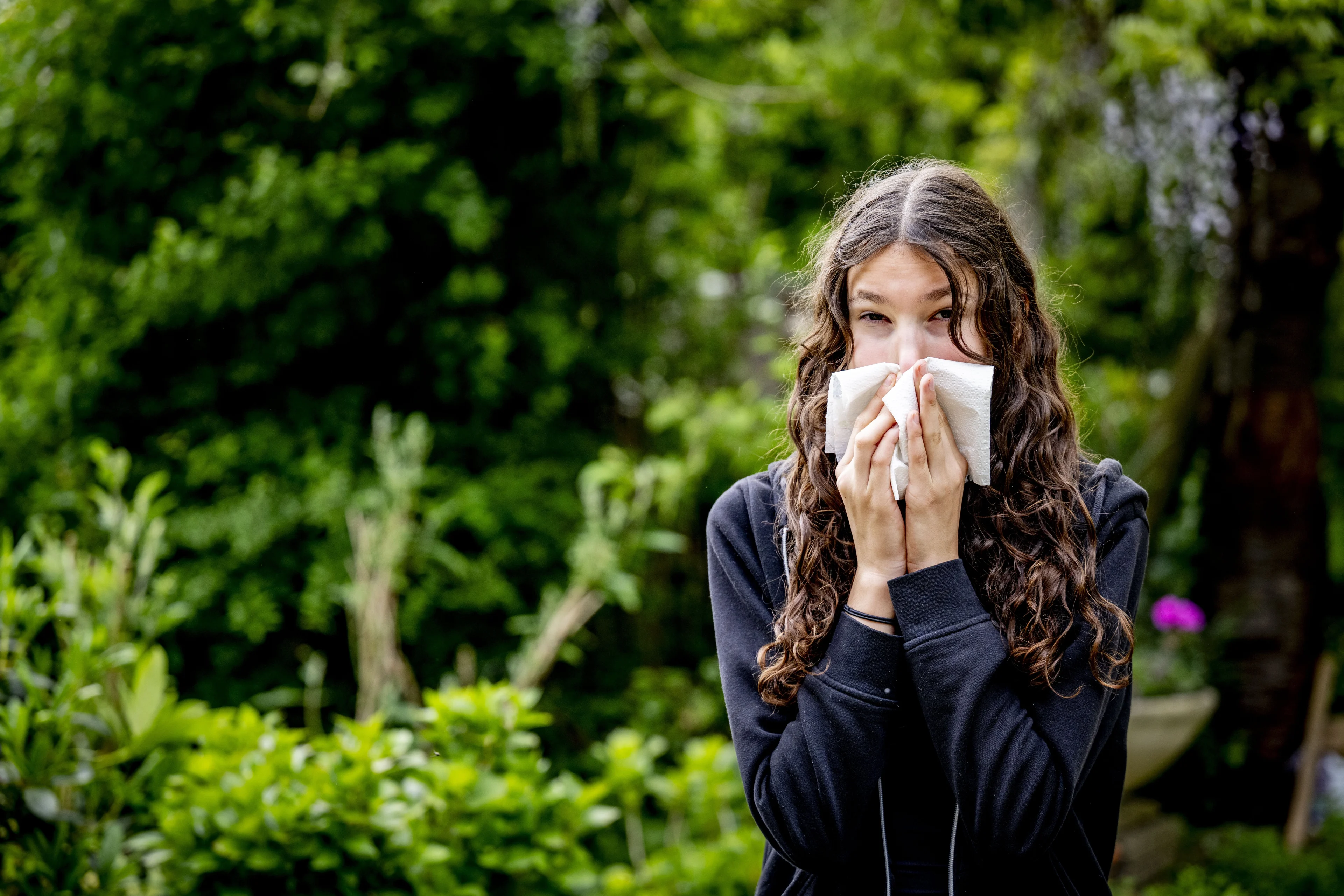 Hooikoortspatiënten opgelet: je gaat klachten krijgen door bloei van hazelaar en els