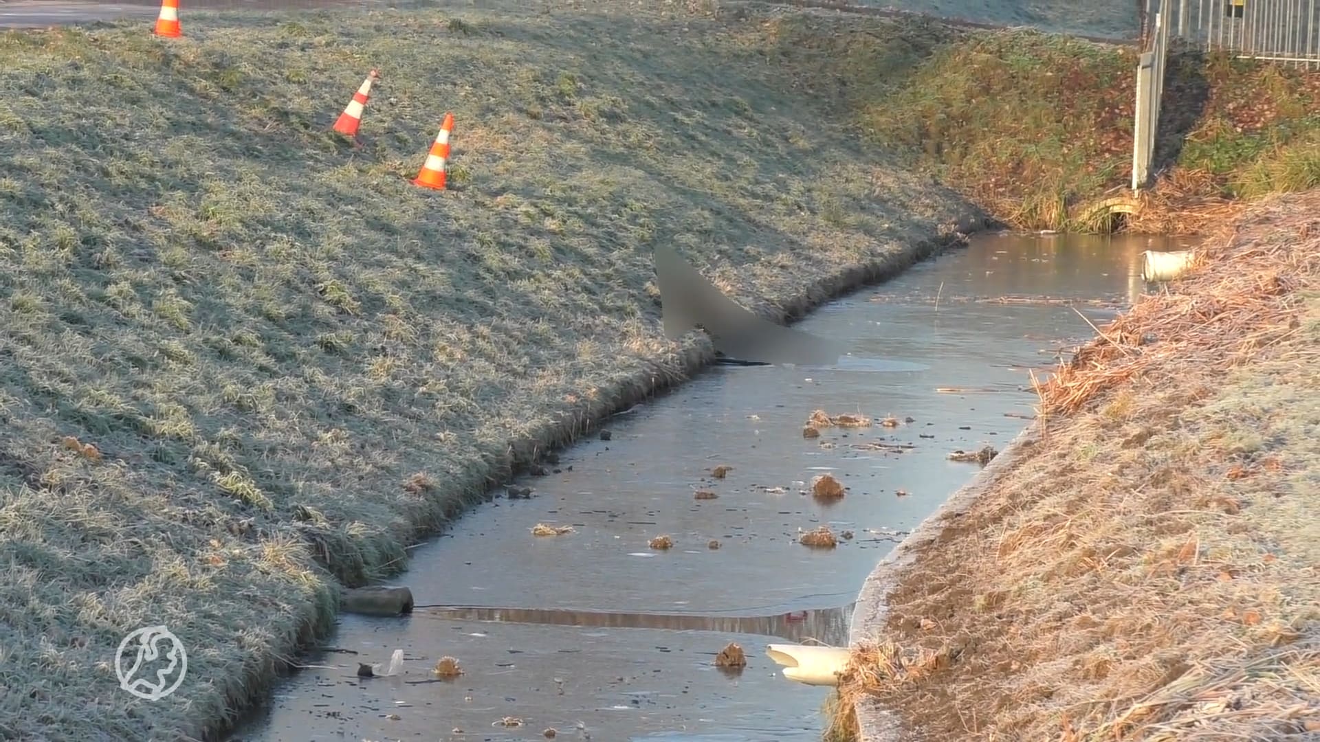 Fietser doodgevroren na val in sloot Brielle