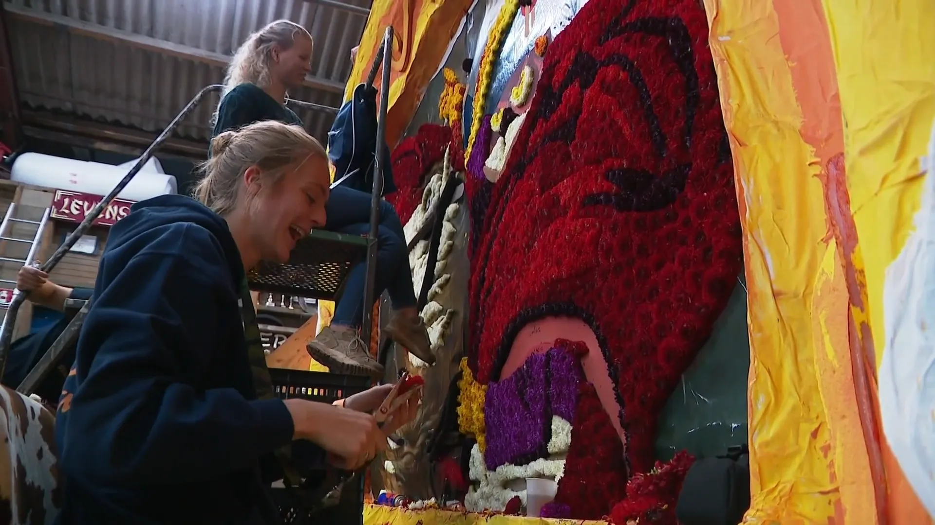 'Gewoon' tienduizend bezoekers bij Dahliafestival in Vollenhove dit weekend