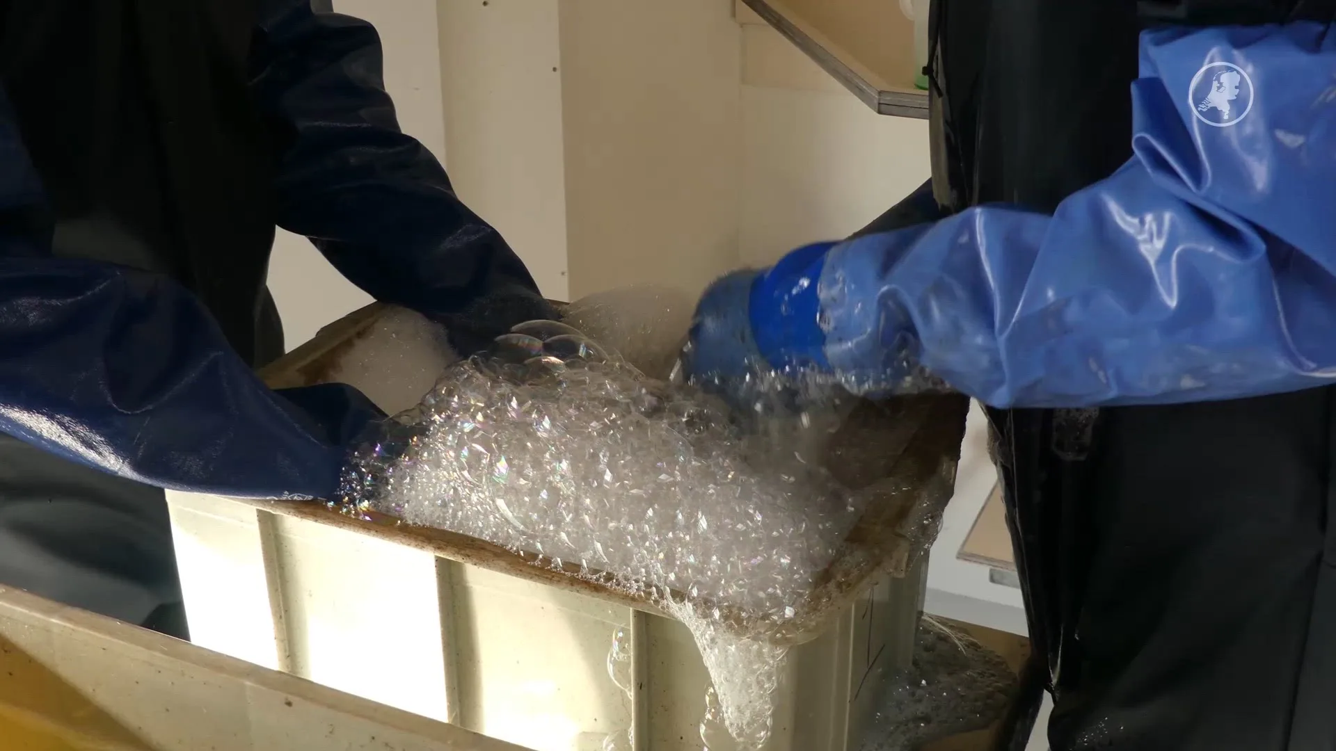 Met olie besmeurde vogels worden gewassen