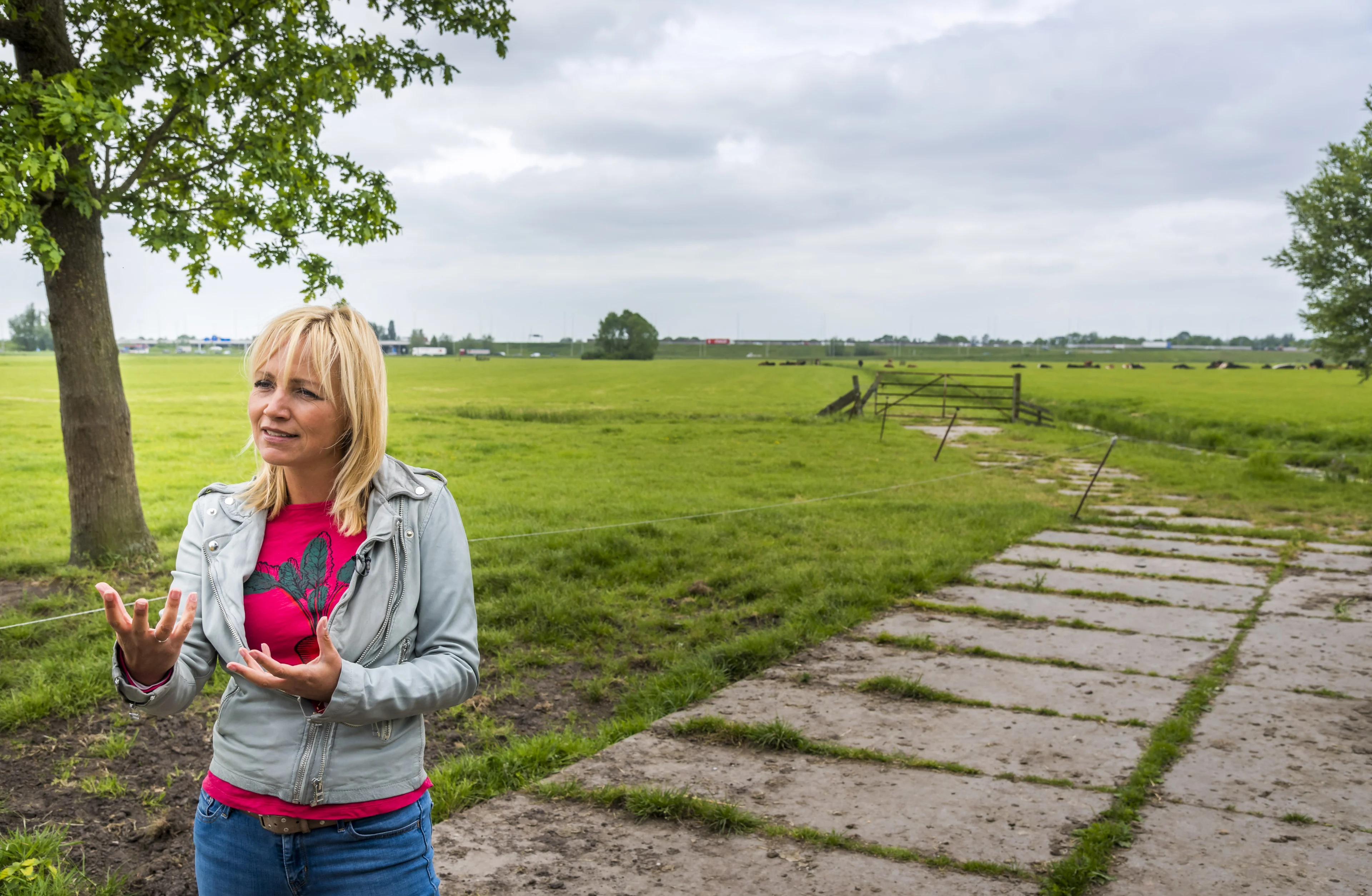 'Friese boeren moeten eigen taal kunnen spreken in Boer Zoekt Vrouw'