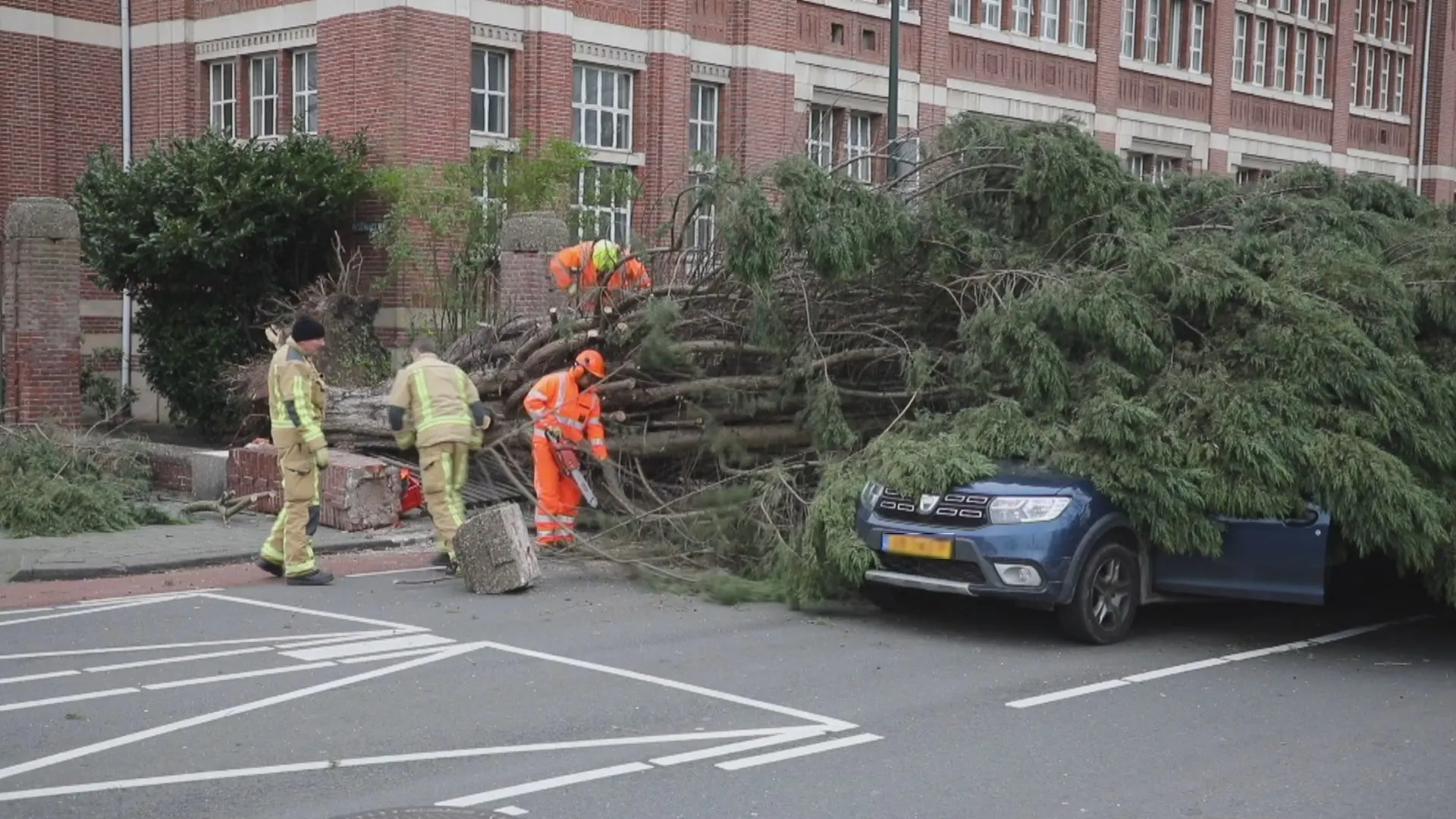 Door het oog van de naaldboom: rijdende auto geplet in Den Haag
