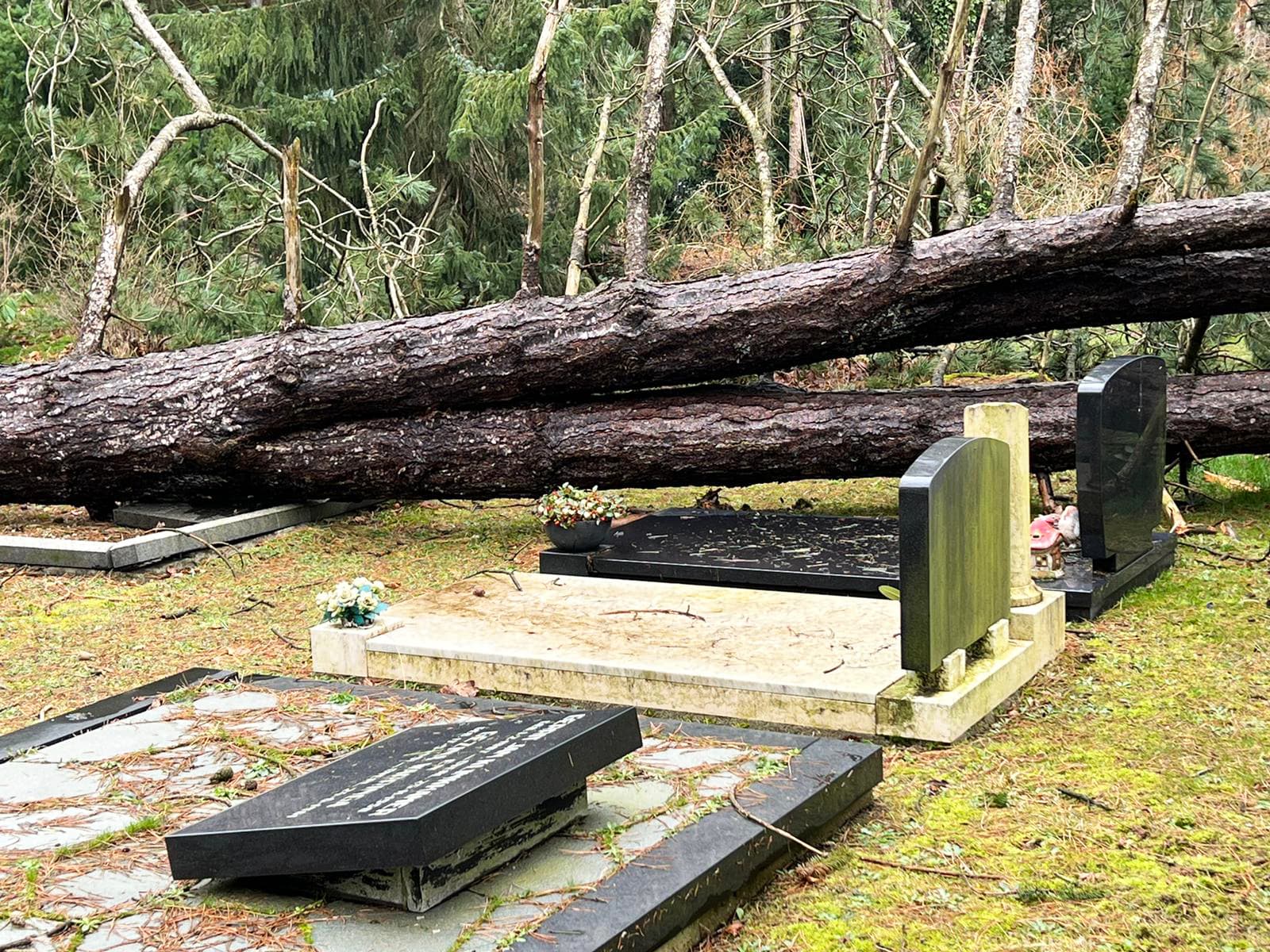 Storm veroorzaakt ravage op begraafplaats Emmen: tien tot vijftien bomen op graven gevallen