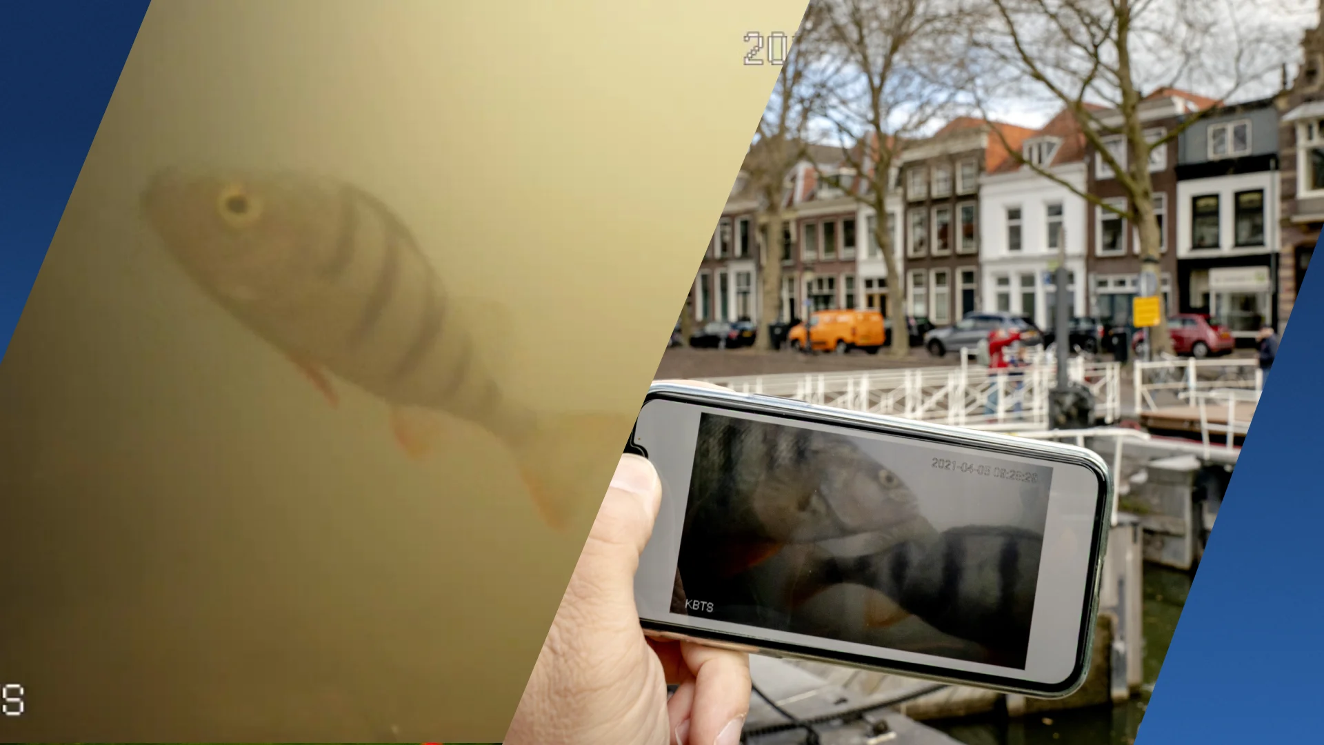 Visdeurbel in Utrecht gaat voor vijfde keer aan en heeft fans tot aan Canada