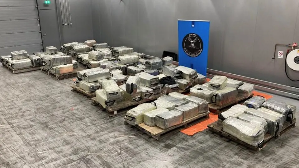 Enorme drugsvangst in Rotterdamse haven: ruim 4000 kilo coke verstopt tussen hout
