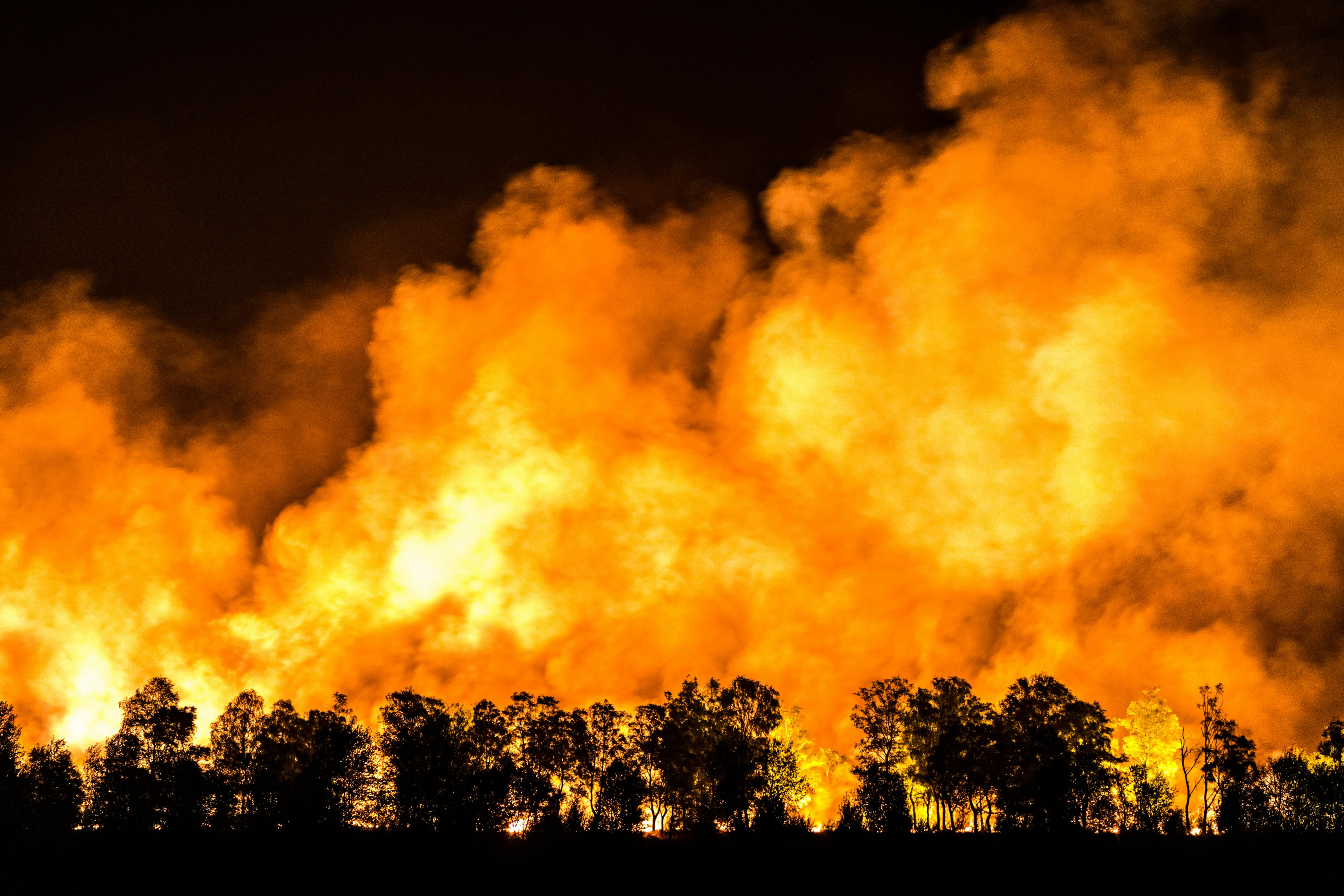 Overzicht: deze Nederlandse natuurgebieden staan in brand