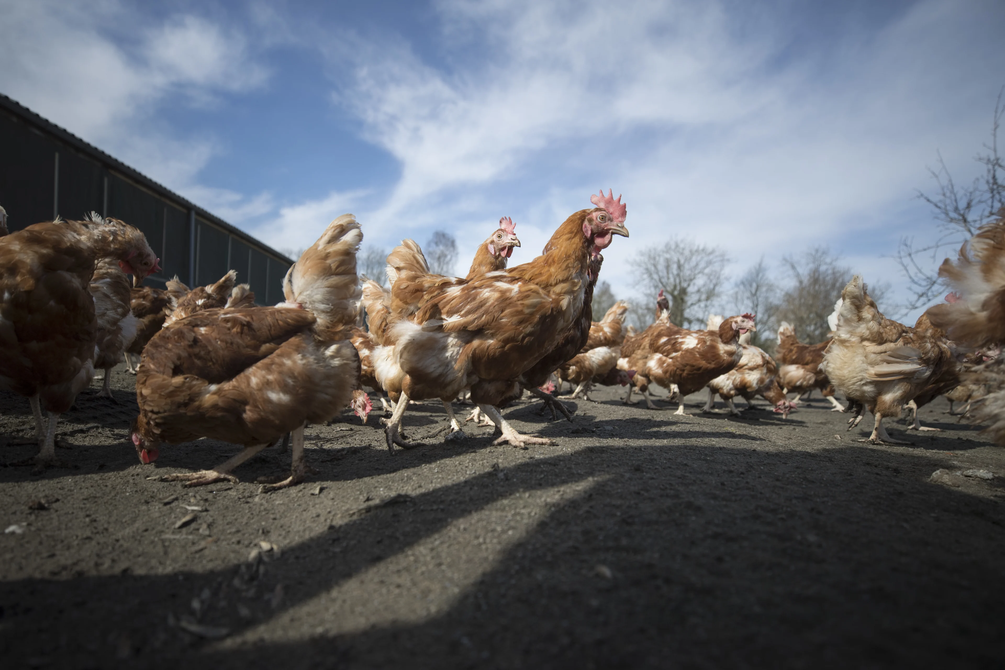 Op deze plekken is de lucht het meest vervuild in Nederland