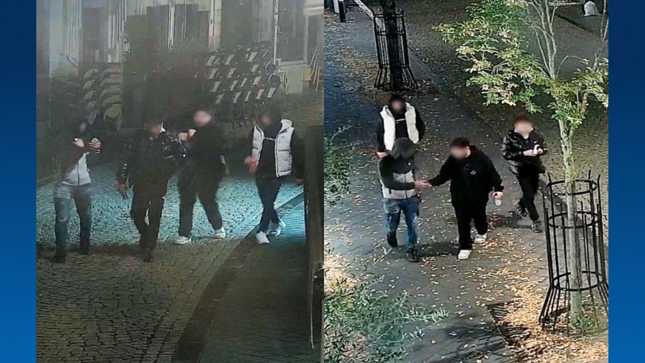 Verdachten verkrachting studente in Maastricht: 'Hebben haar niet gedwongen'