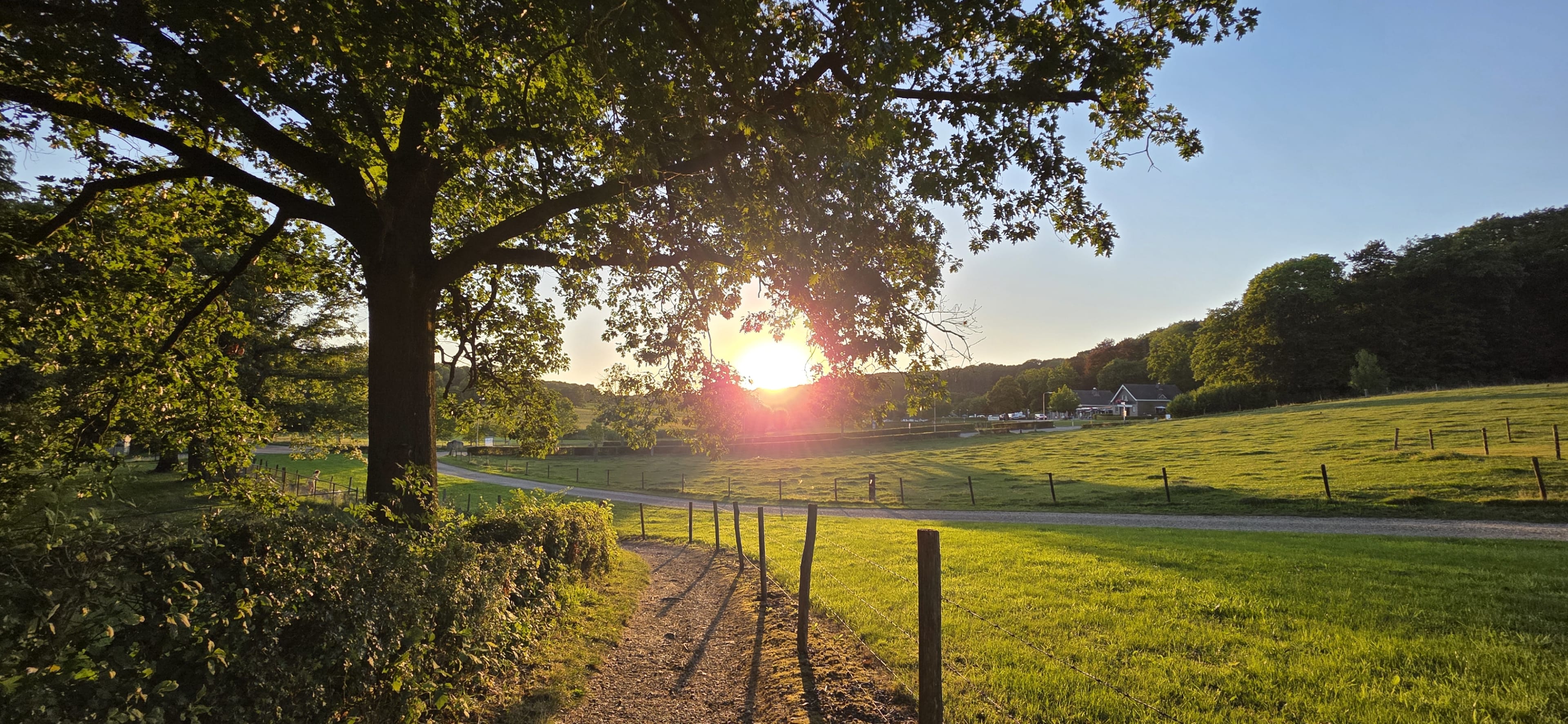 Geniet nog even: zomerse hitte maakt plaats voor wisselvallig weer