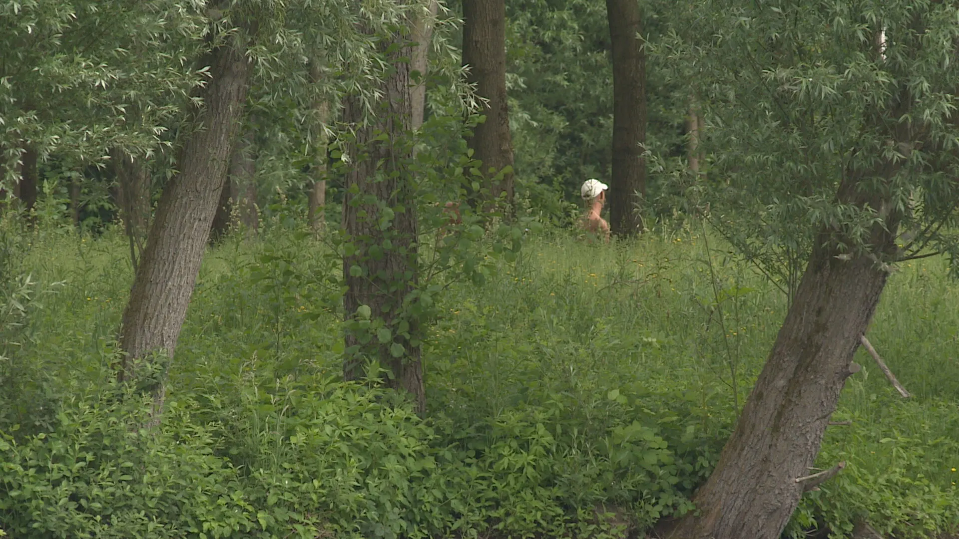 Seksende mannen zetten boel op stelten bij recreatieplas in Wijchen: Wat je ziet, is echt erg'