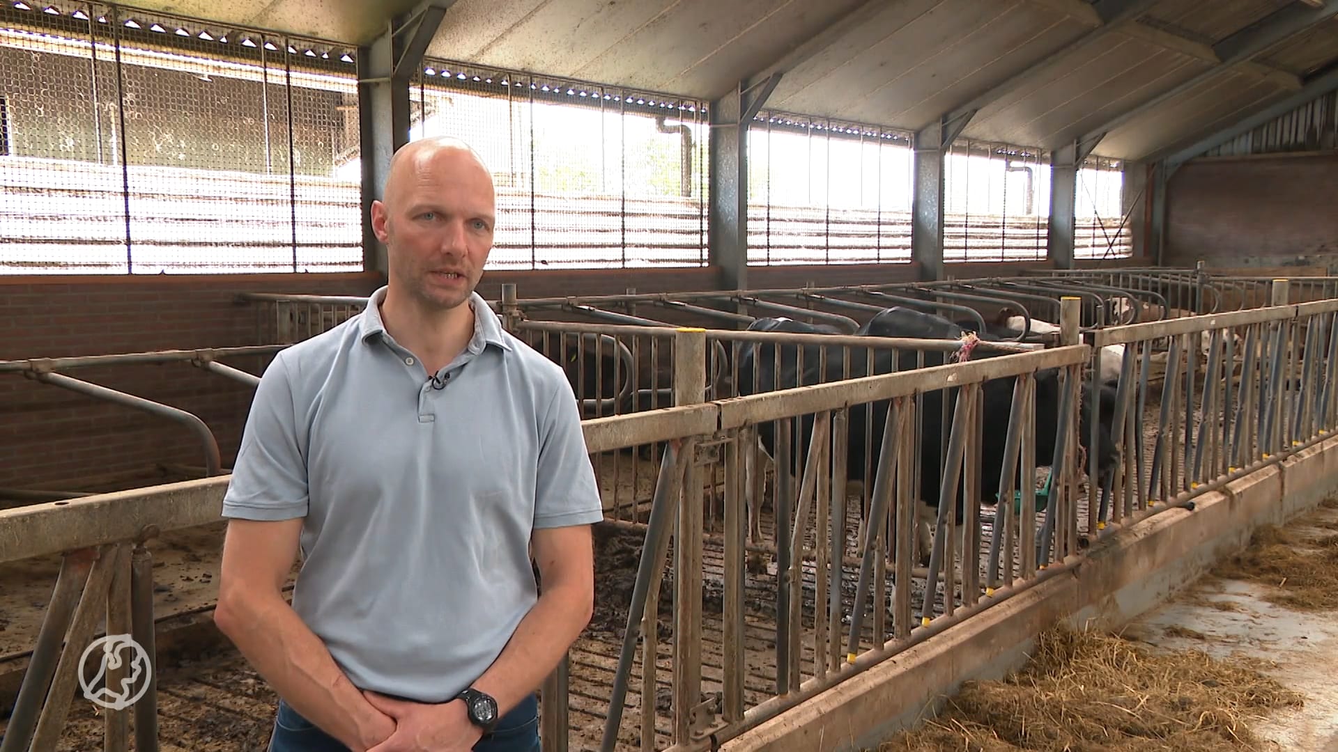 Europese verkiezingen ook voor boeren belangrijk: 'Ik hoorde dat er nog best wat ruimte zit'