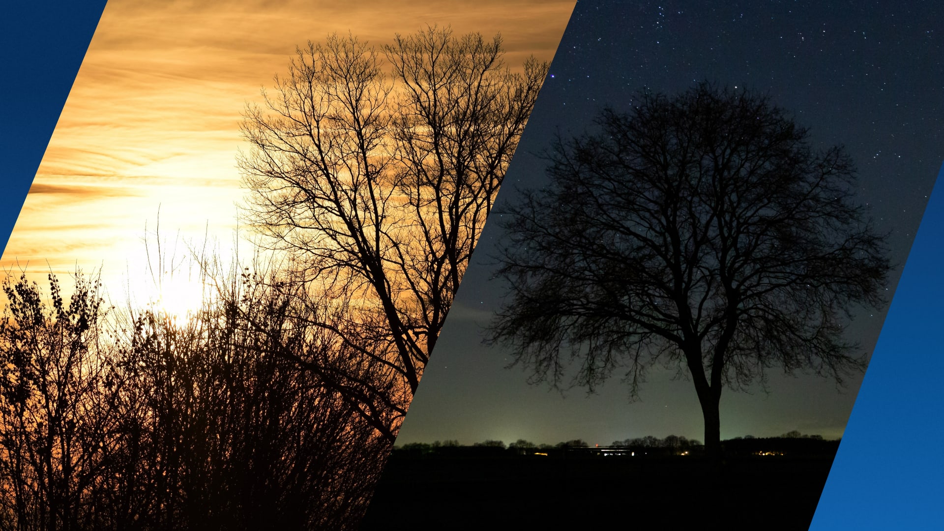 Kortste dag van het jaar voorbij: dit doet meer zon en daglicht met je lichaam