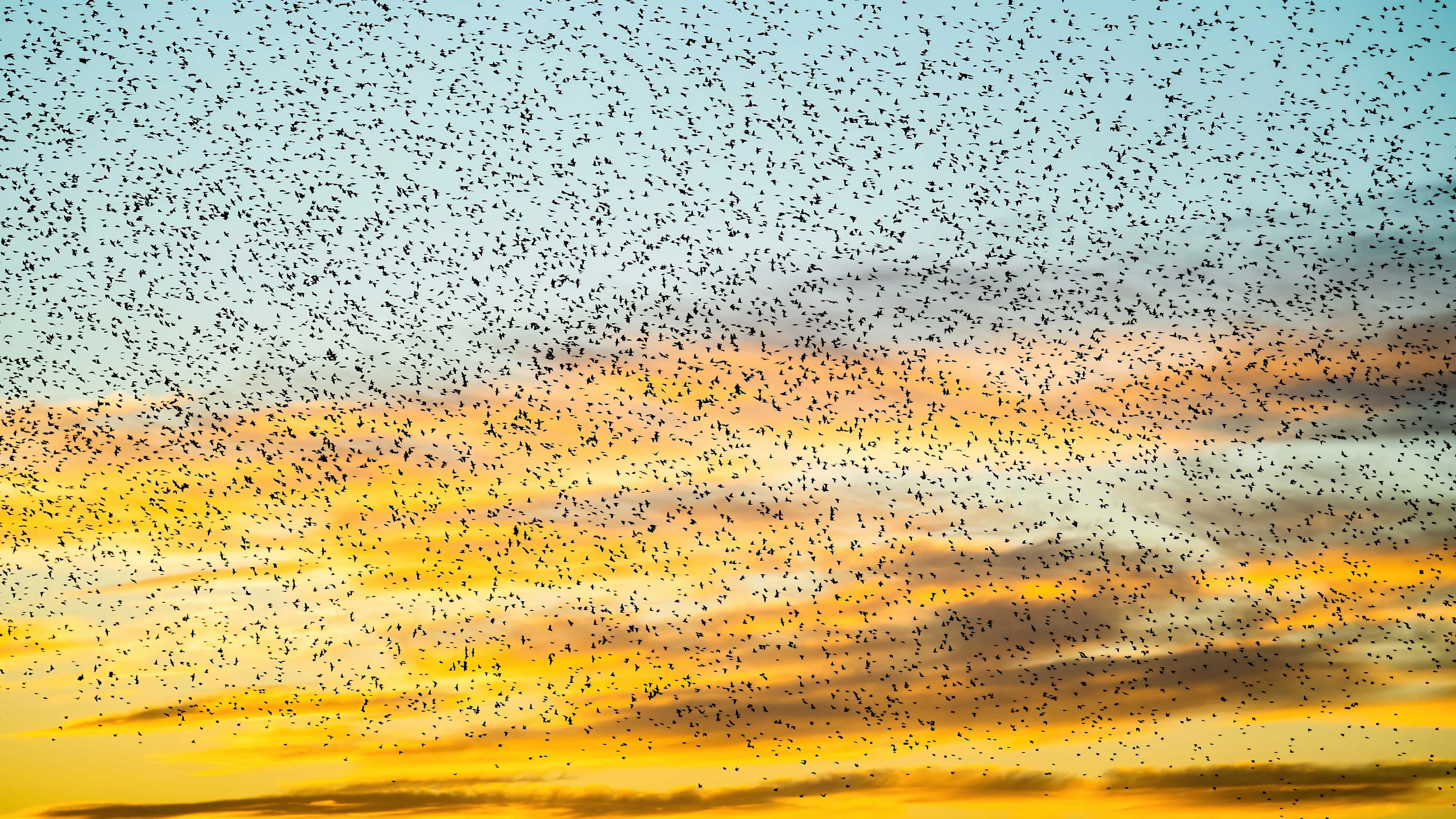 Donderdag wordt koud en nat met stevige wind
