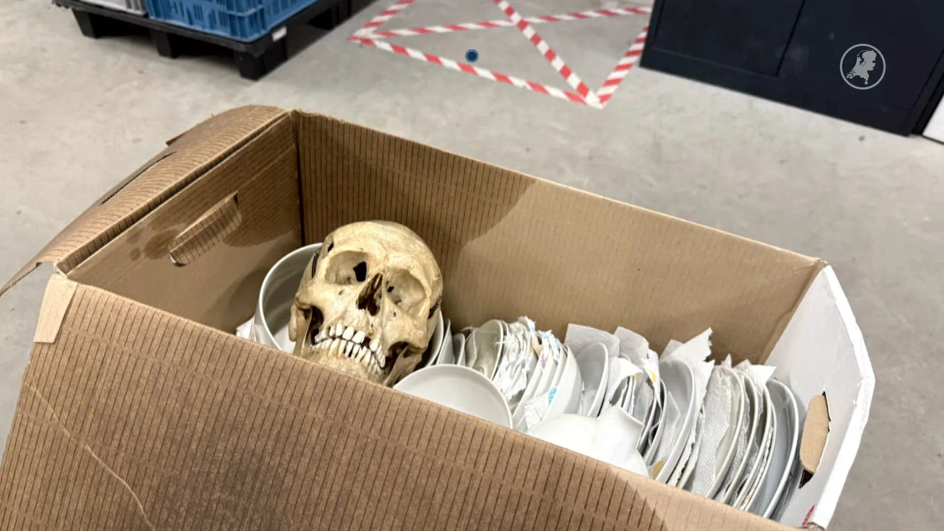 Kringloopmedewerker vindt menselijke schedel in doos serviesgoed