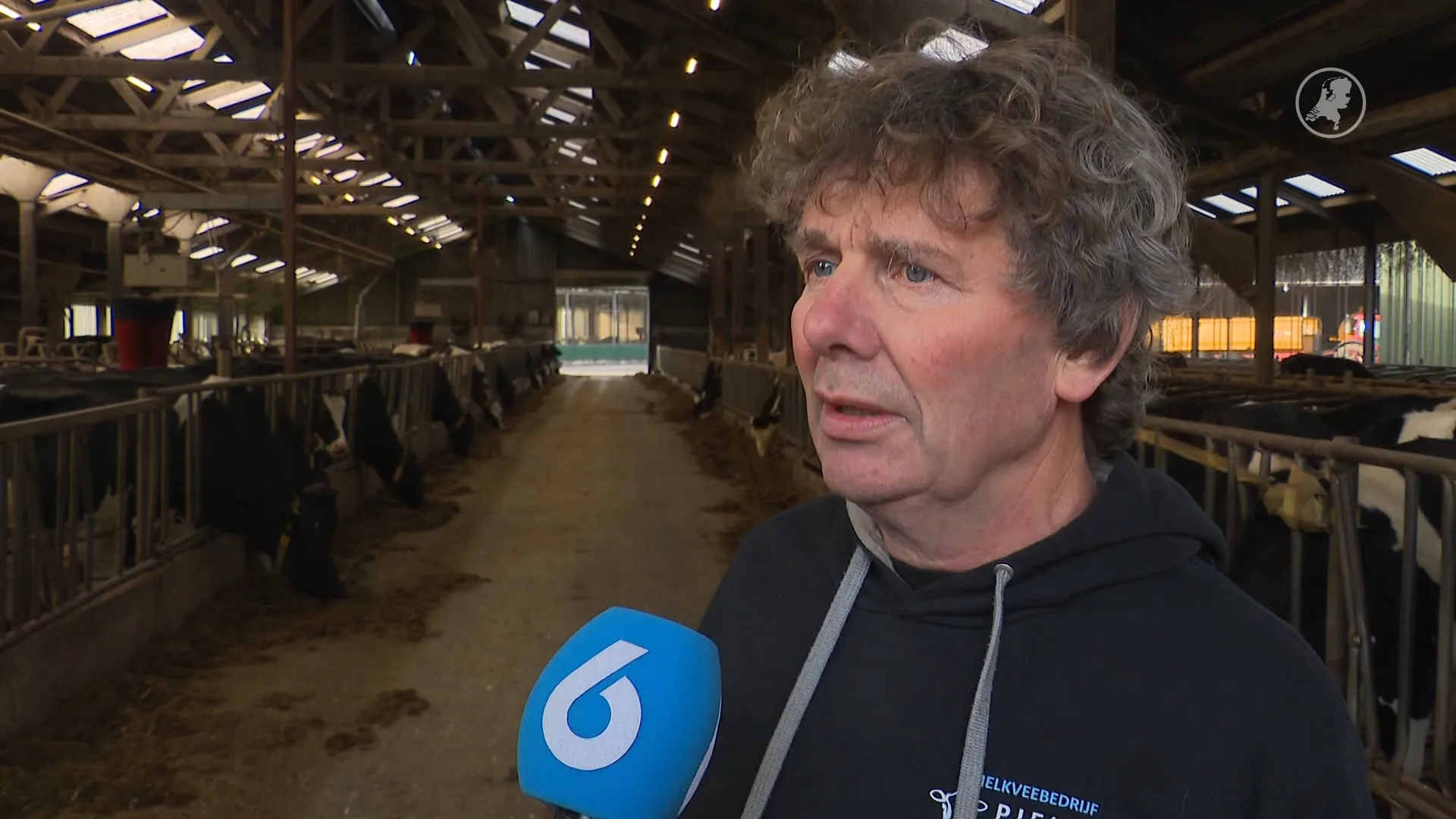 Boeren in Laaghalen dreigen bedrijf kwijt te raken door Defensieplan