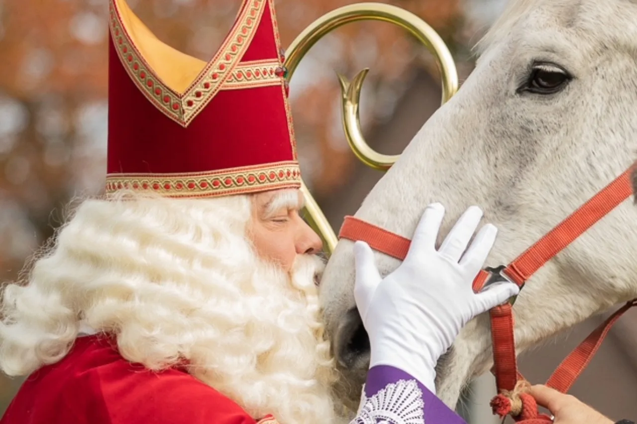 Amerigo 2.0, voormalige paard van Sinterklaas, overleden: 'Zullen hem missen'