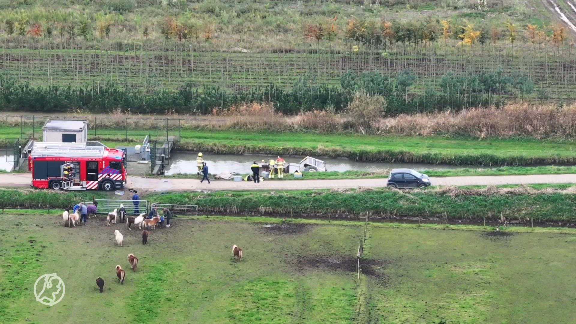Tractor met zeven Shetlandpony's raakt te water, een pony overleden