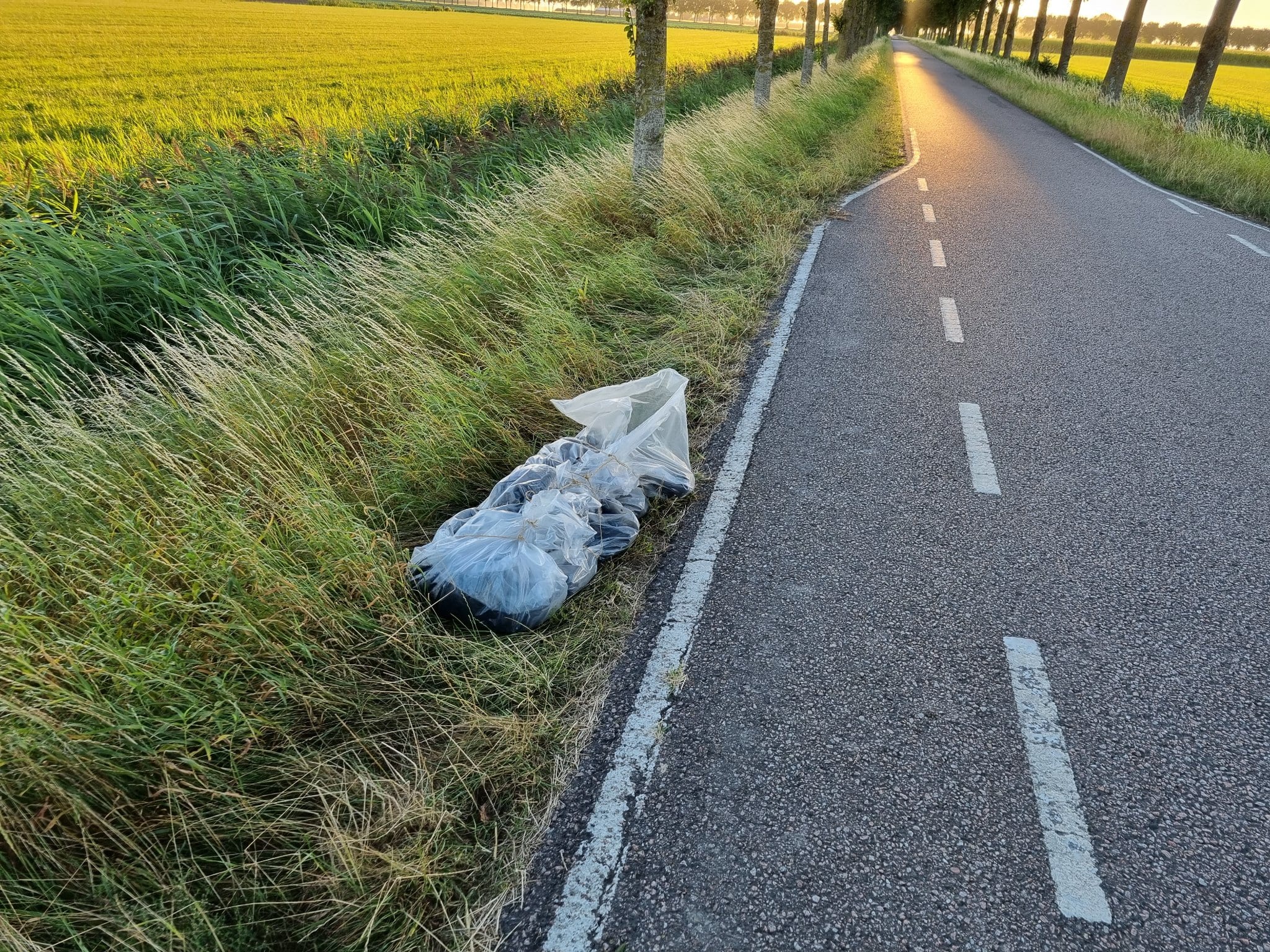 In plastic gewikkelde dode hond gevonden langs weg: 'Mensen soms beestachtiger dan beesten zelf'