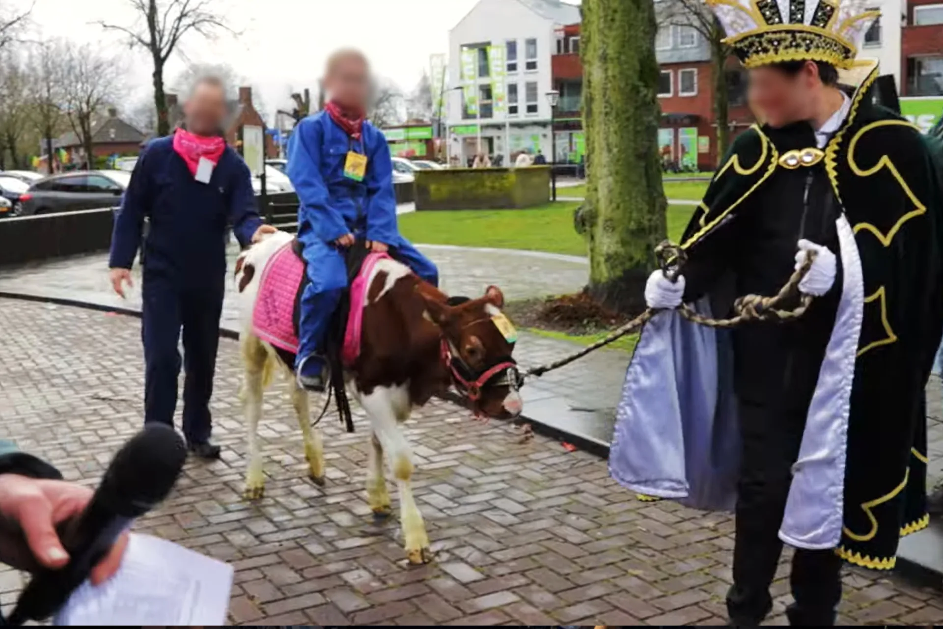 House of Animals doet aangifte om 'mestspel' met jong kalf tijdens carnaval
