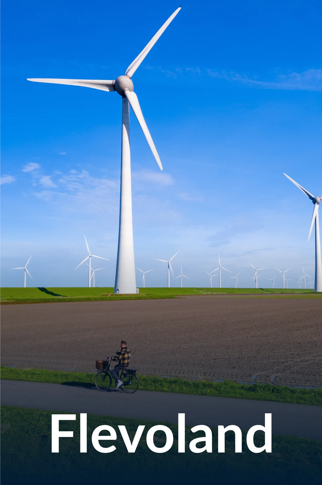 Flevoland