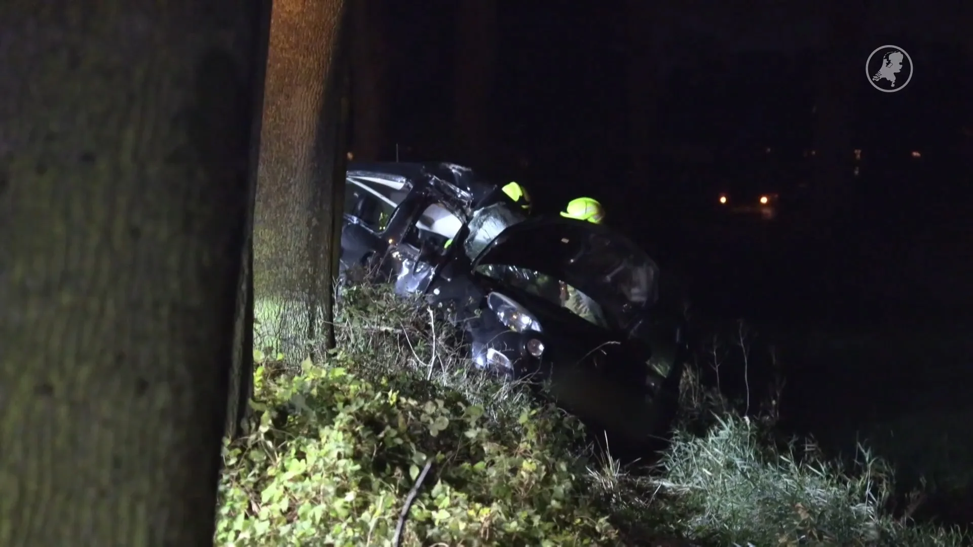 Auto knalt op boom bij Voorst, bestuurder overleden