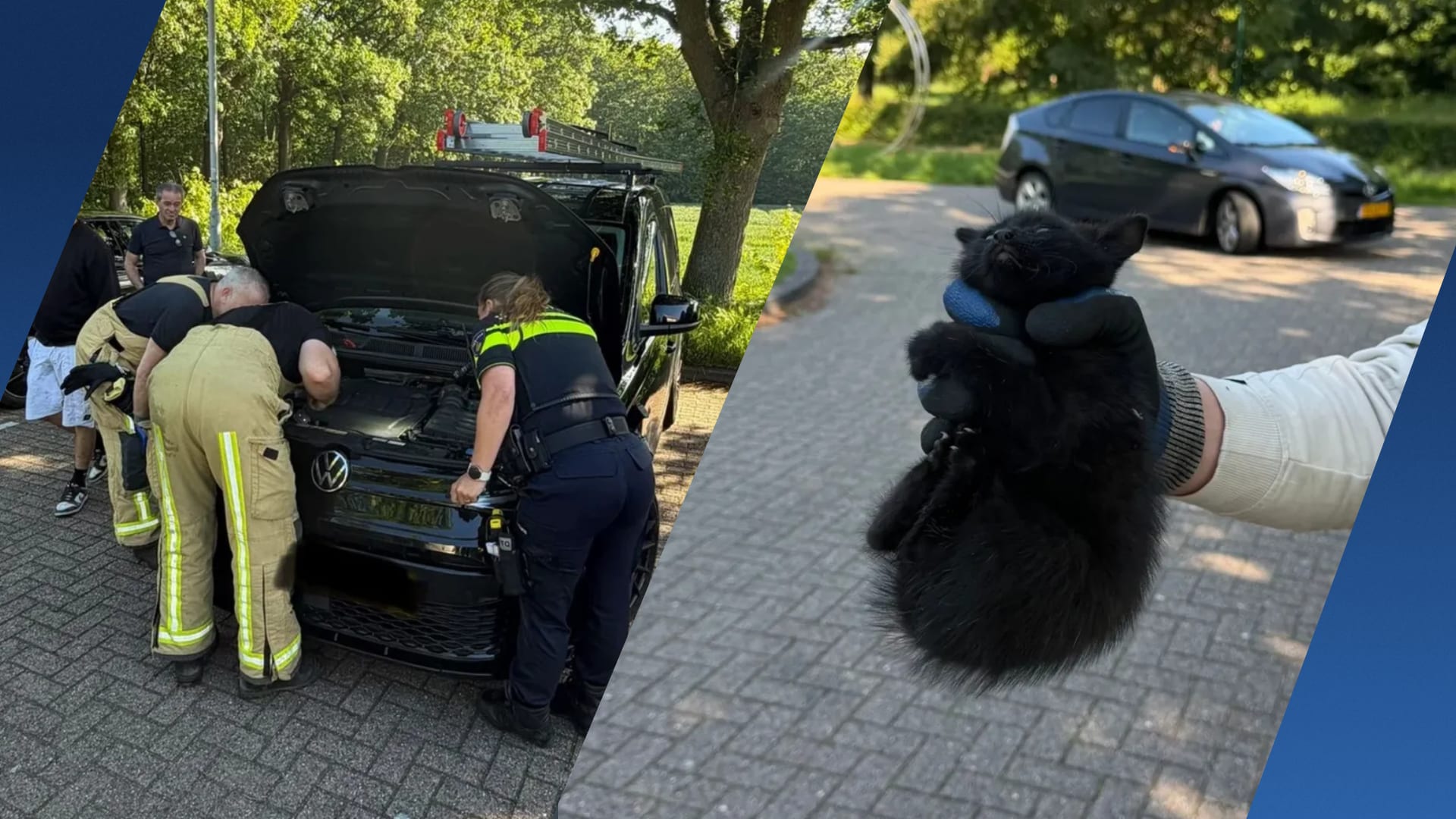 Politie en brandweer redden kitten onder motorkap: 'Hoorde hem miauwen'