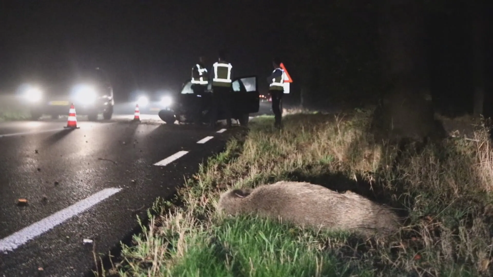 Automobilist schept wild zwijn in dikke mist en knalt tegen boom
