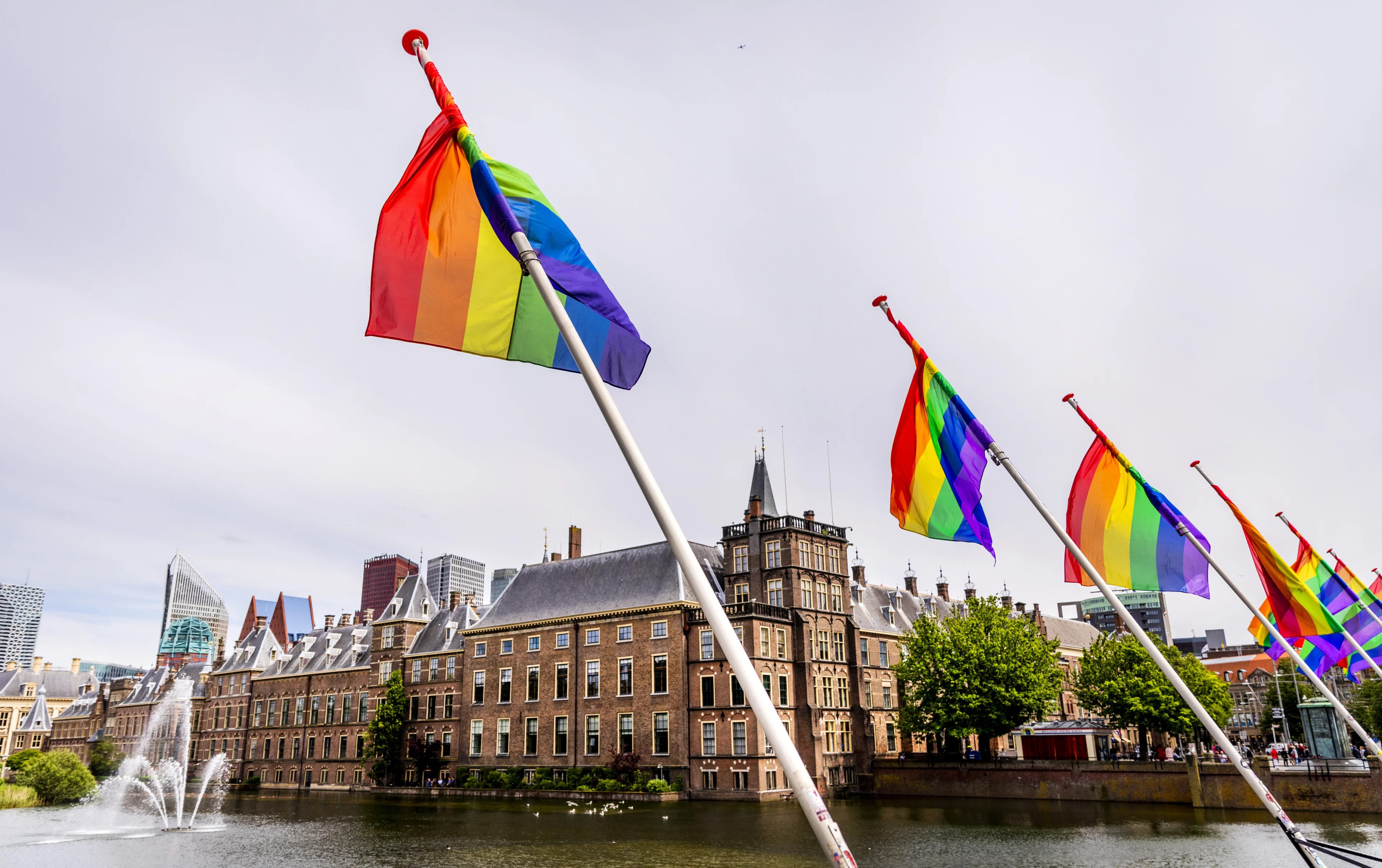 Zeven partijen willen verbod op groepsbelediging vrouwen in regenboogakkoord