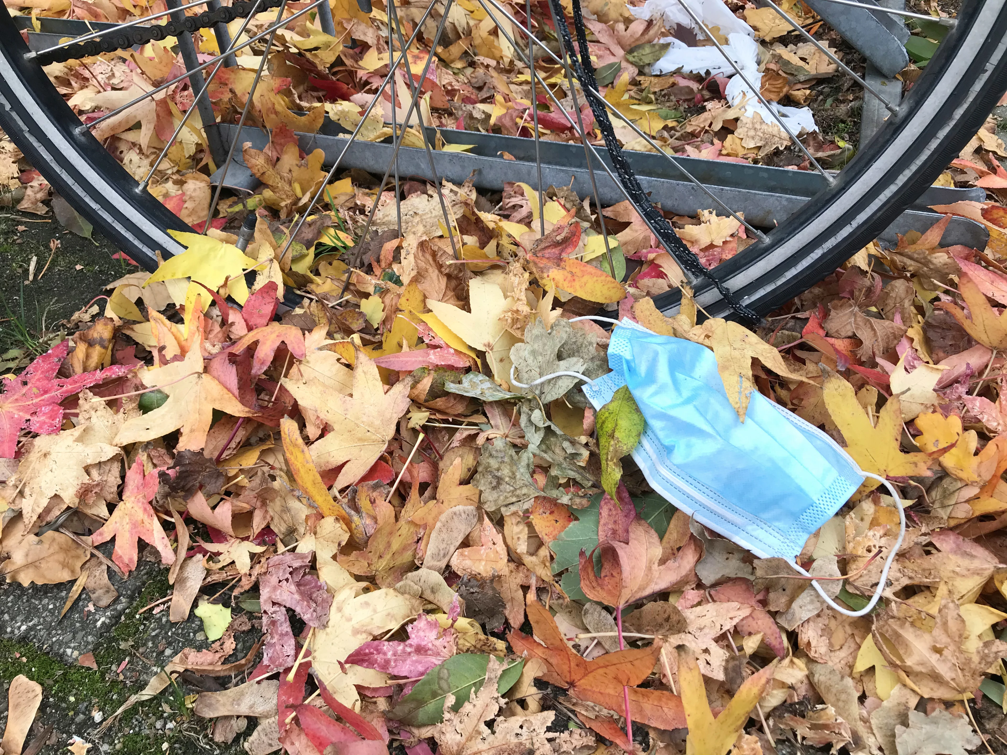 LIVEBLOG | Red Team adviseert strenge lockdown van vier weken