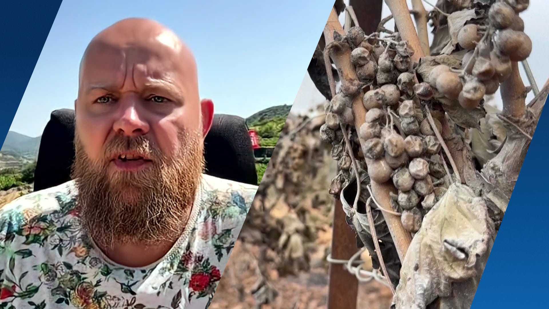 Oud-wijnboer Melle kon maar net aan vlammen ontsnappen en helpt nu Franse collega's