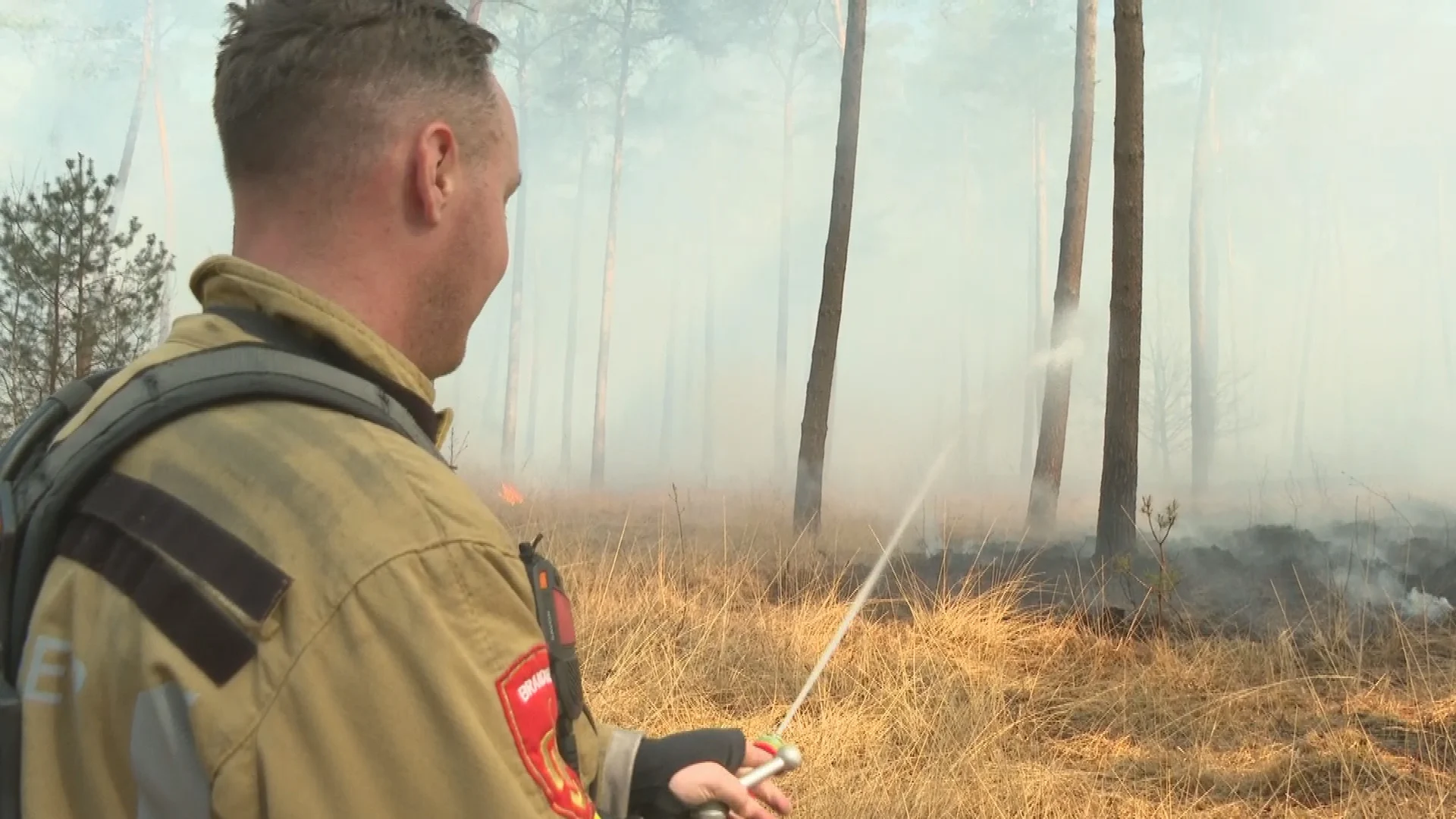 Brandweer nog hele dag aanwezig in natuurgebied De Meinweg na brand