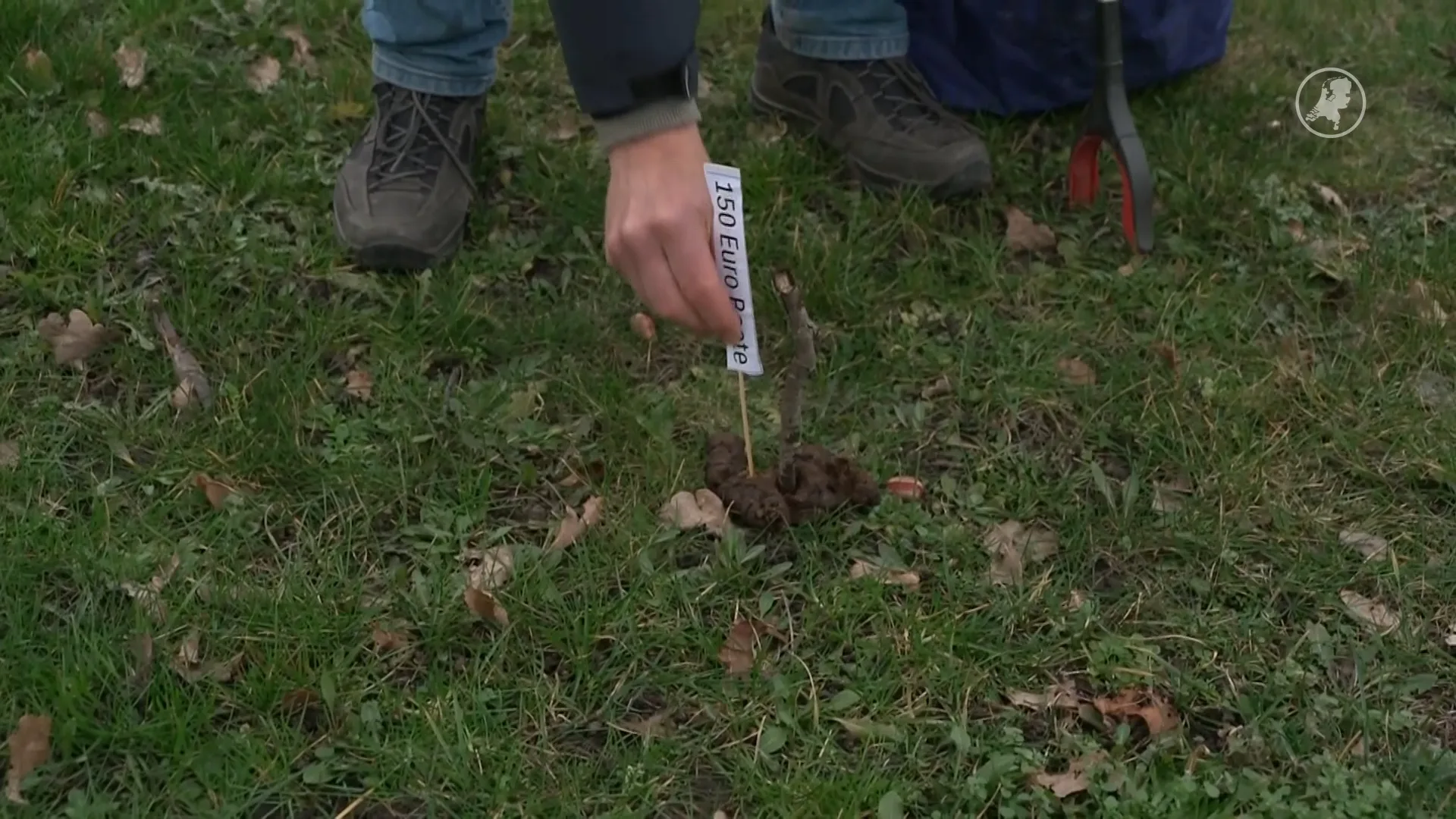 Poepprikker Wim is er klaar mee: 150 euro boete voor hondenpoep in Duiven