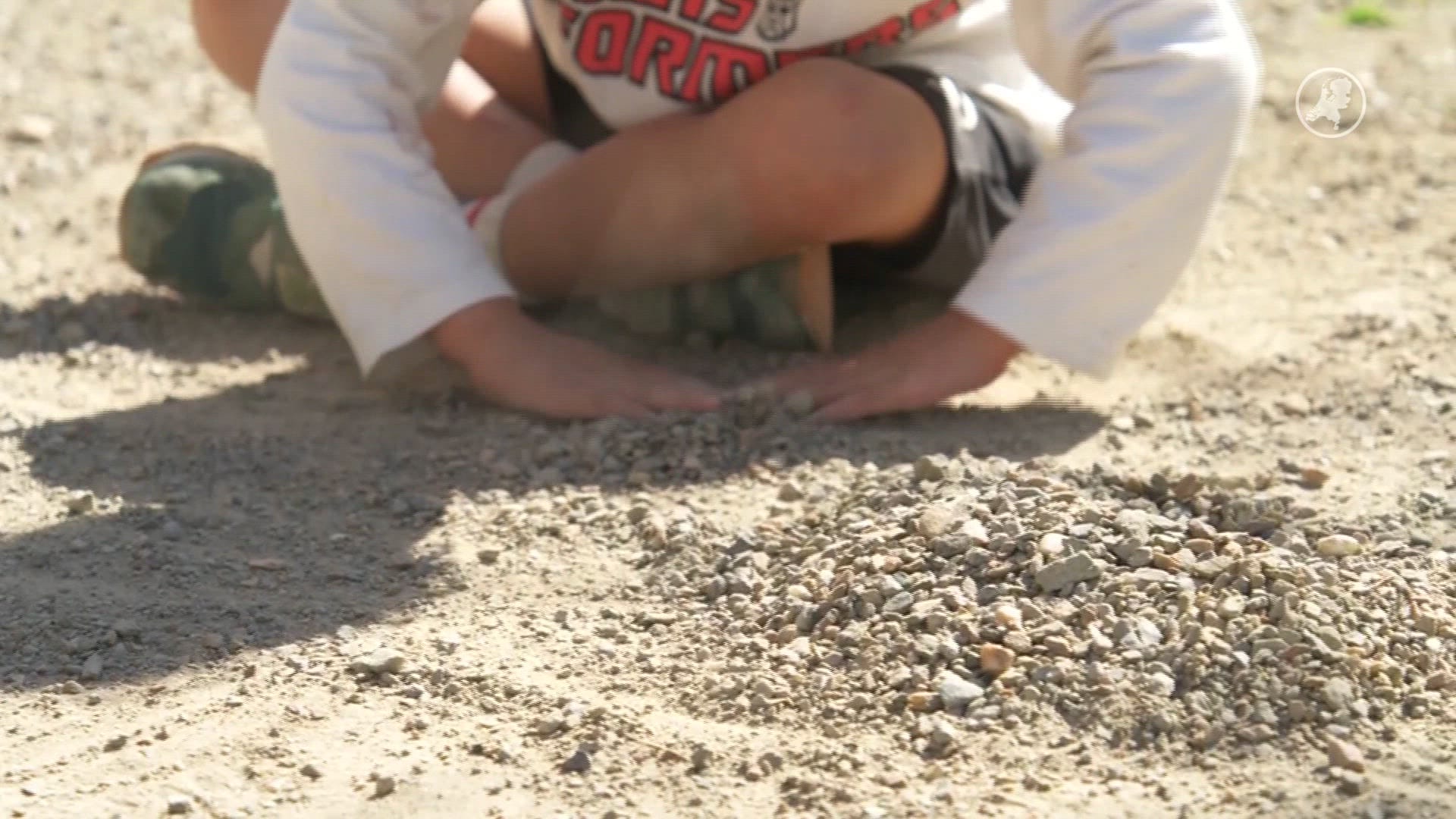 Bewoners kinderrijke buurt Muiden bezorgt om staalslakken