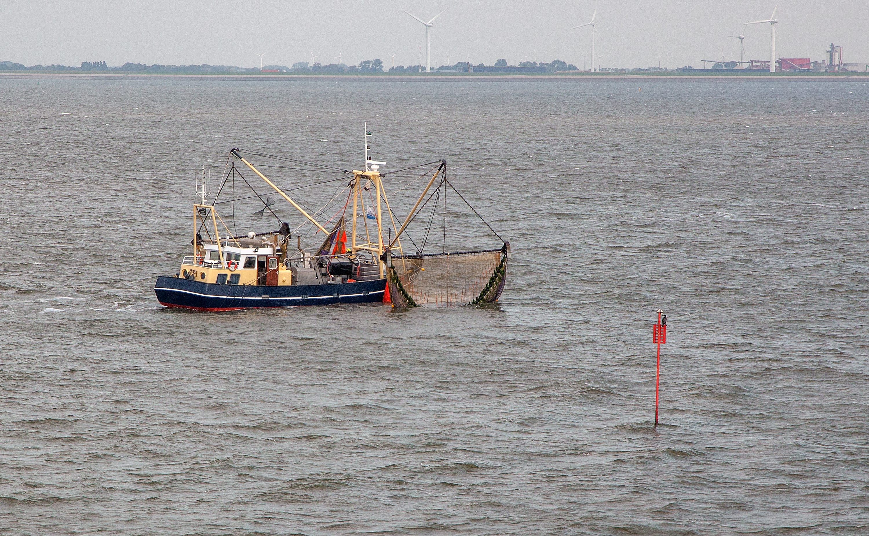 Garnalenvissers zoeken met speciale netten naar vermiste jongen (12) bij Terschelling