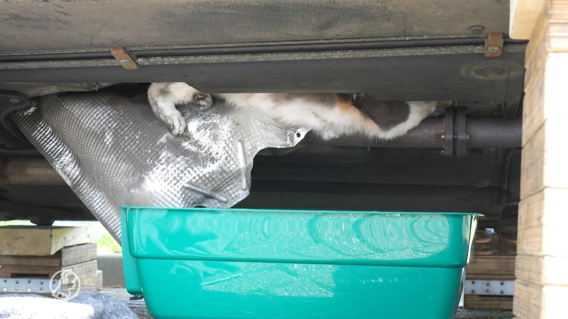 Reddingsactie om kat onder auto te halen: voertuig deels uit elkaar gehaald