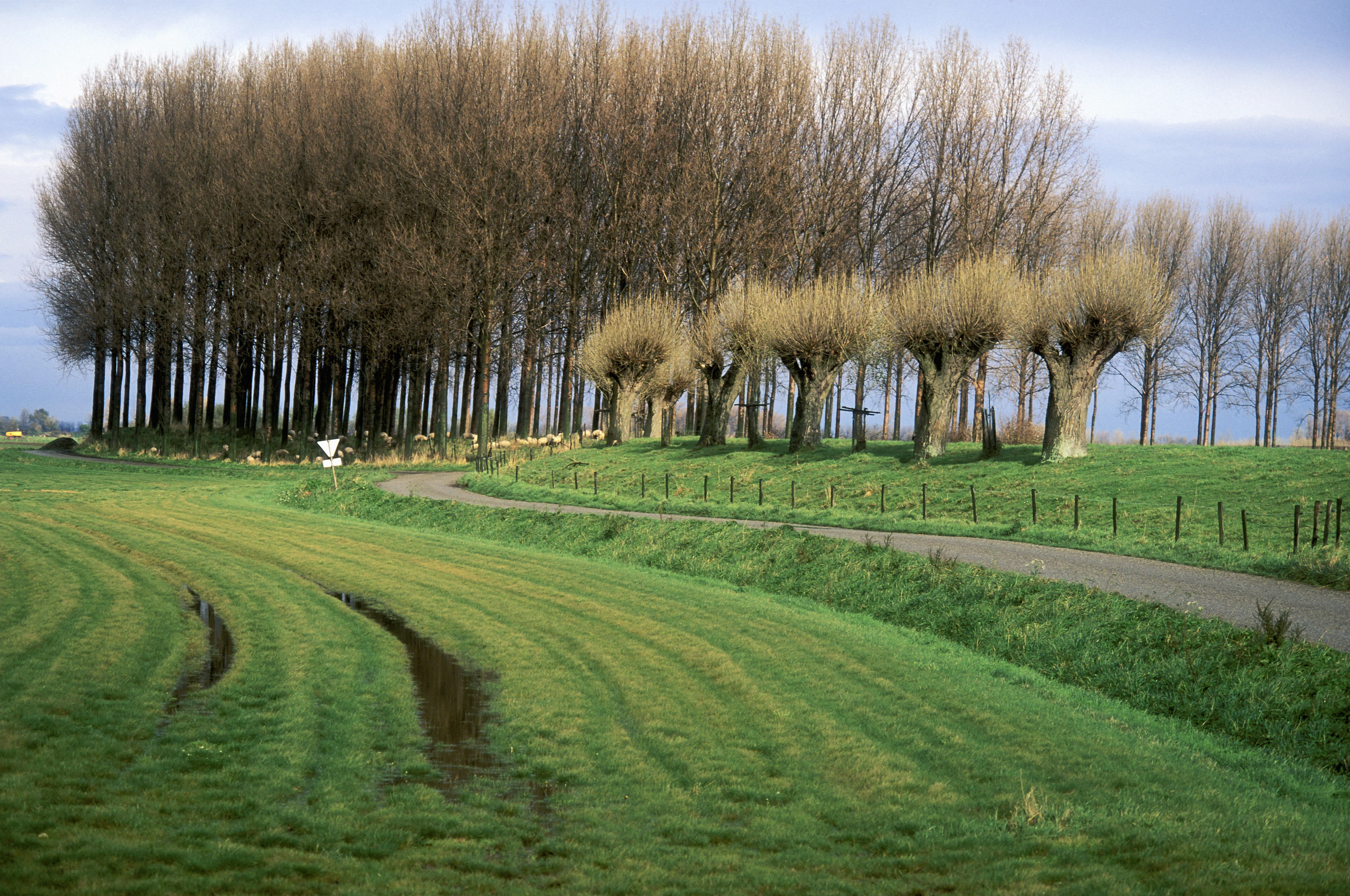 Dementerende bejaarde man (84) uit Axel vermist