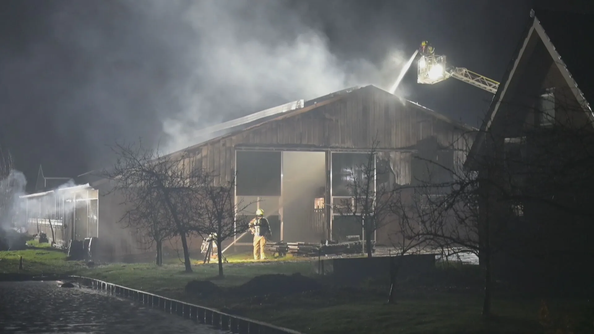 Vier kalveren overleden bij grote stalbrand in Waarder