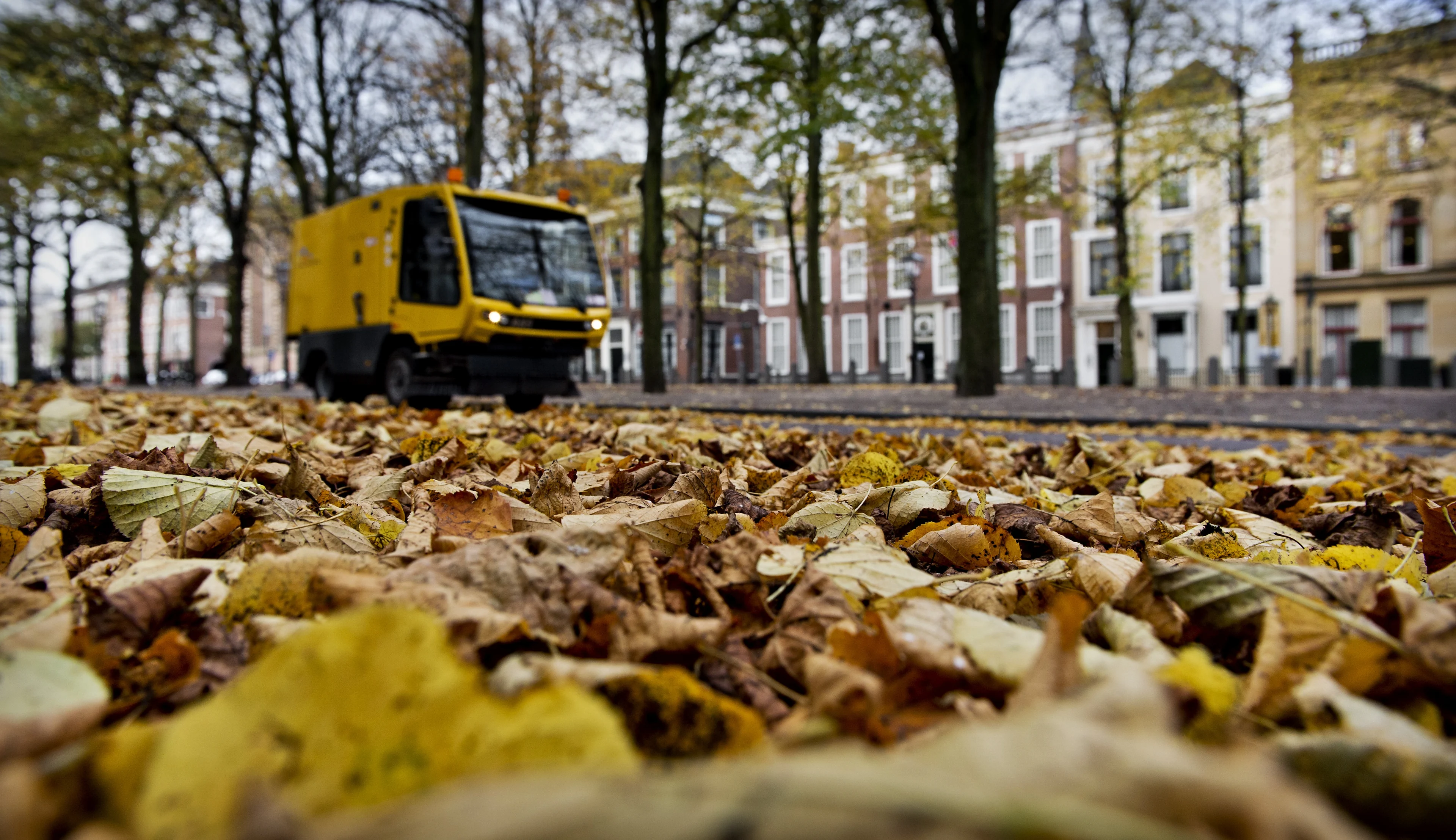 Herfst op z'n saaist: grijs, fris en bijna geen zon