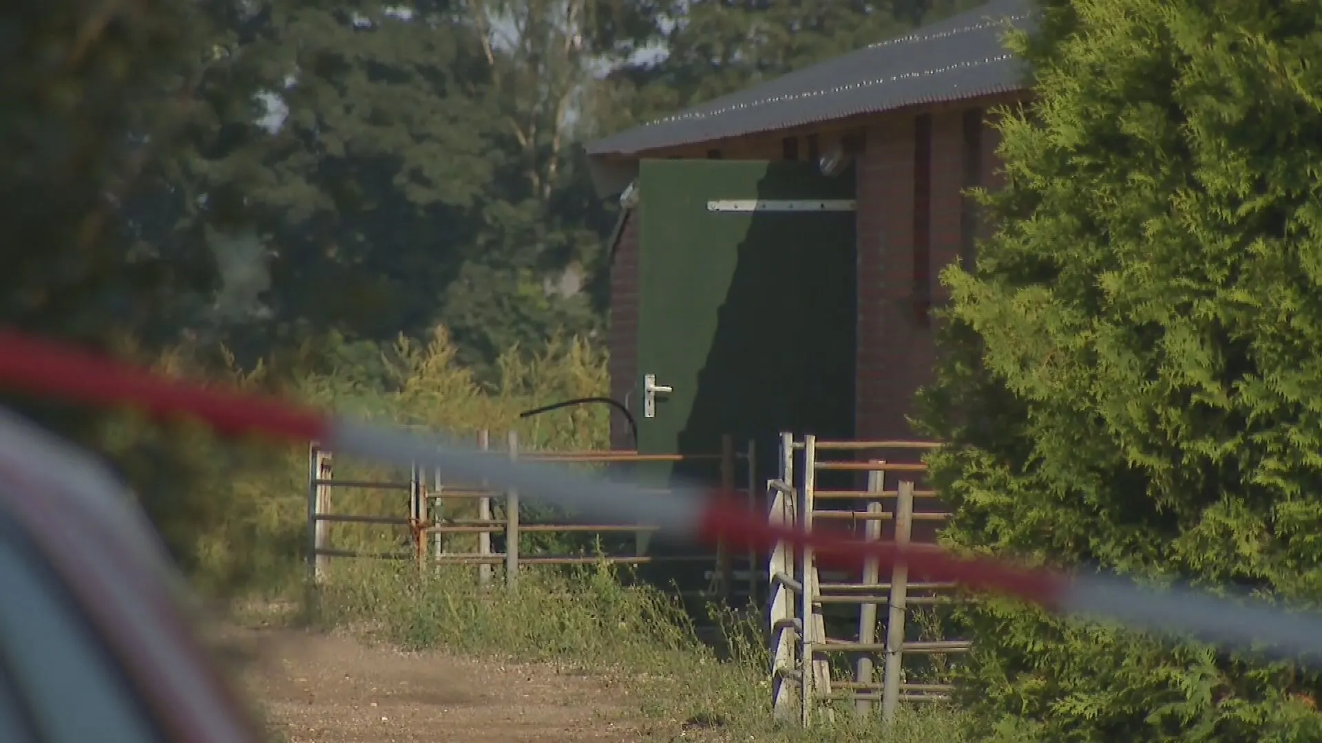 Honderden varkens gestikt in stal Melderslo, geen giftige stoffen vrijgekomen