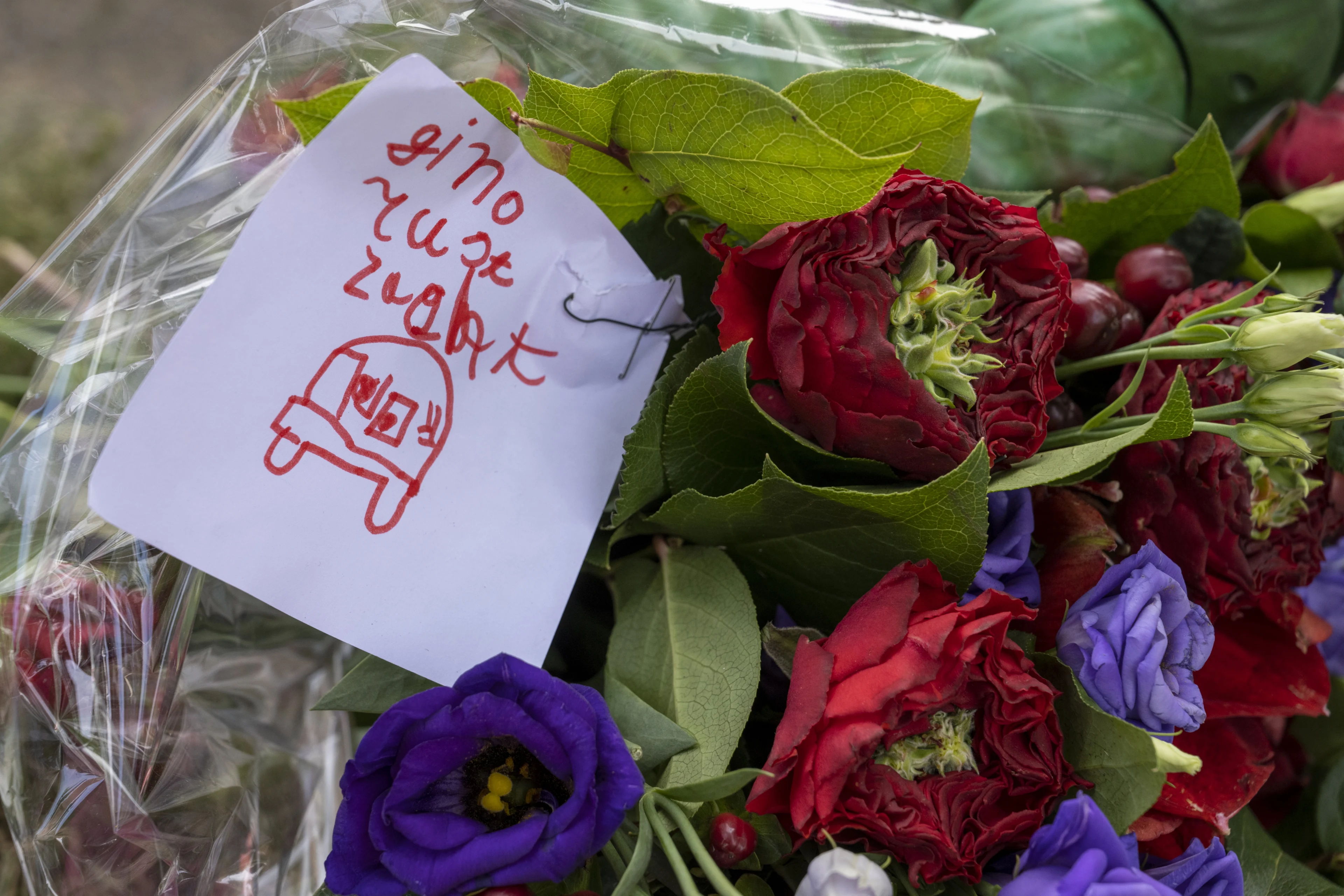 Zorgverleners verdachte zaak-Gino: kunnen leed niet ongedaan maken