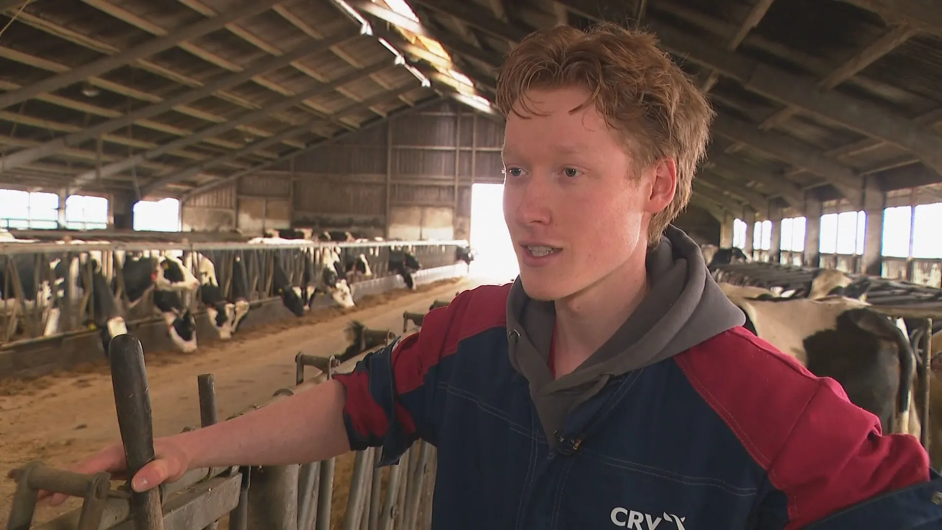 Piepjonge kandidaten mogen door succes BBB onverwacht aan de bak