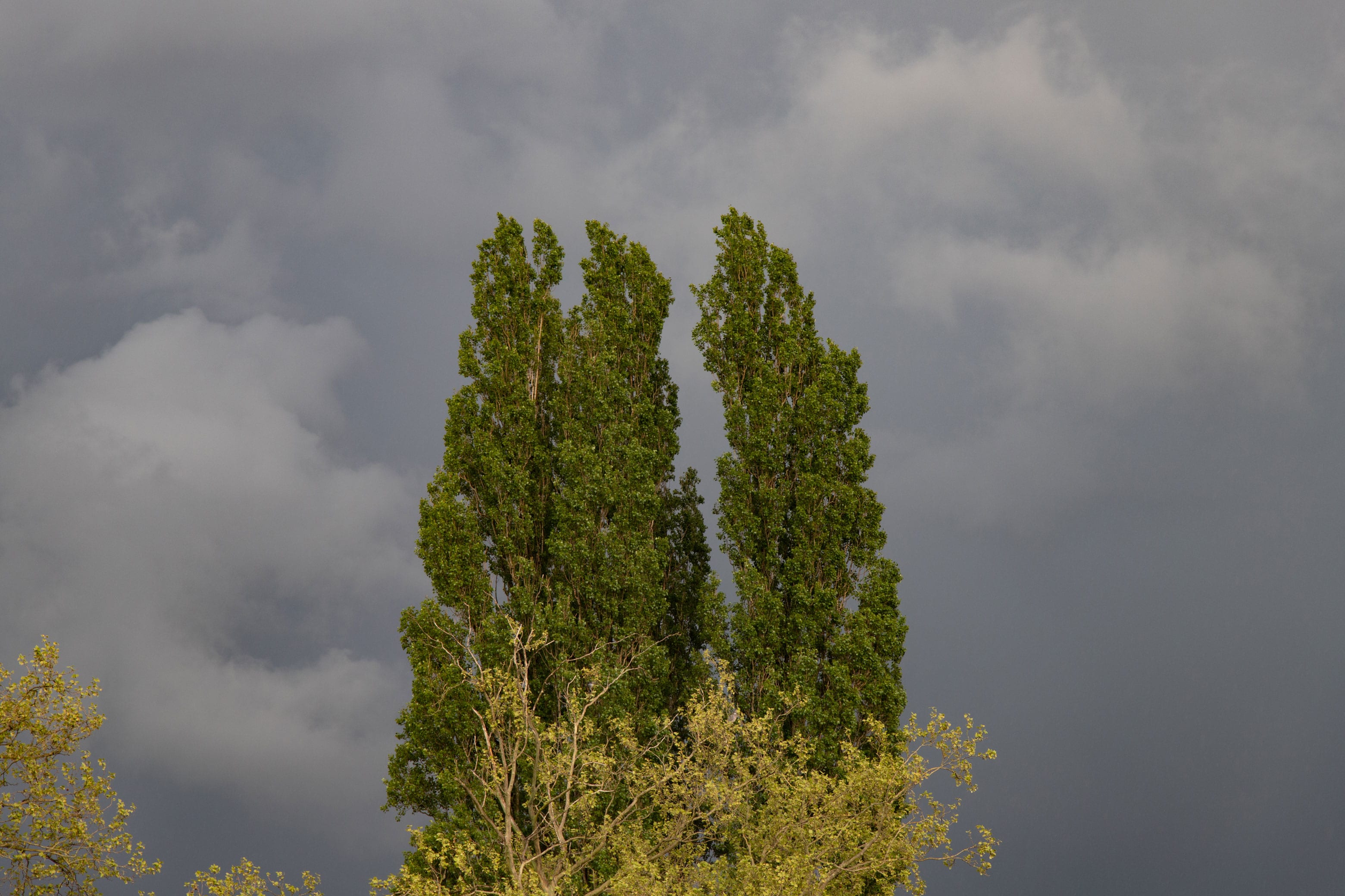 Nog even langs moeders? Vergeet dan je jas niet: de komende uren wordt het flink kouder