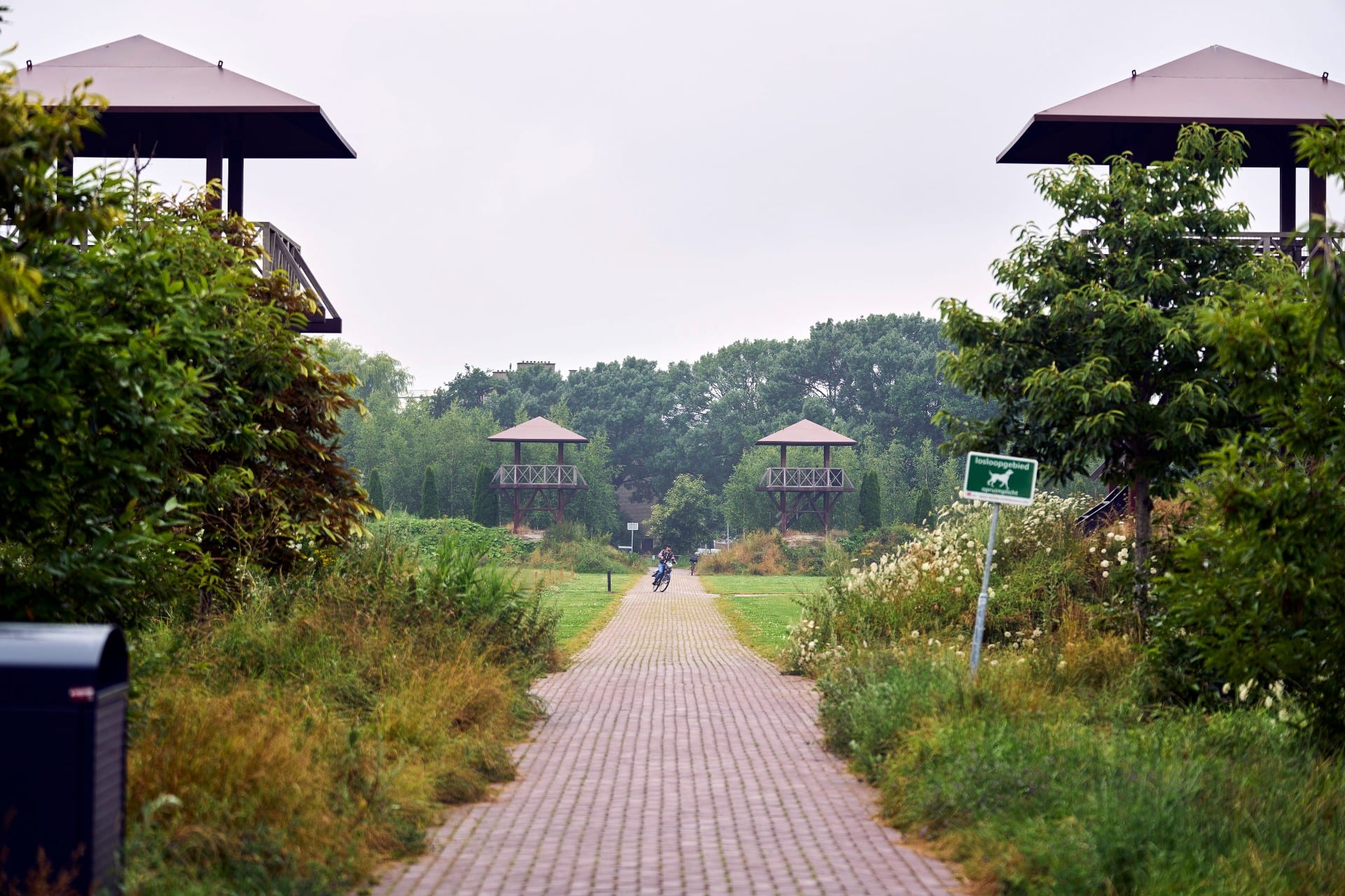 'Drie keer goud' voor Nederland: ook Romeinse limes op werelderfgoedlijst