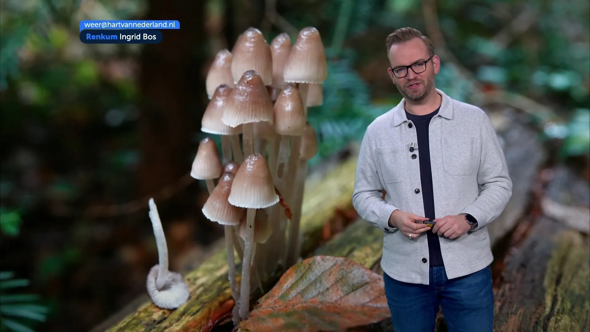 Herfstweer blijft wisselvallig met wolken, zon en lichte regen