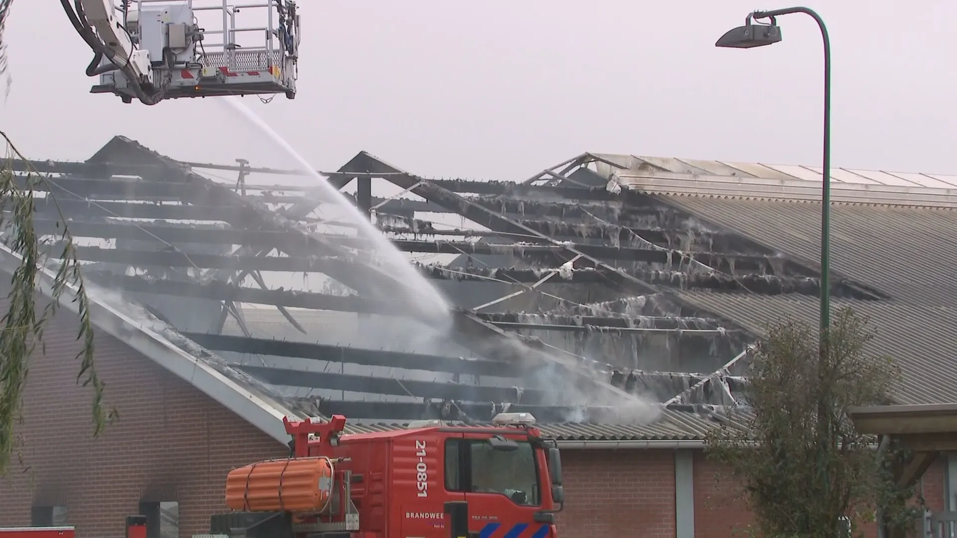 Duizenden geiten overleven stalbrand in Limburgse Siebengewald