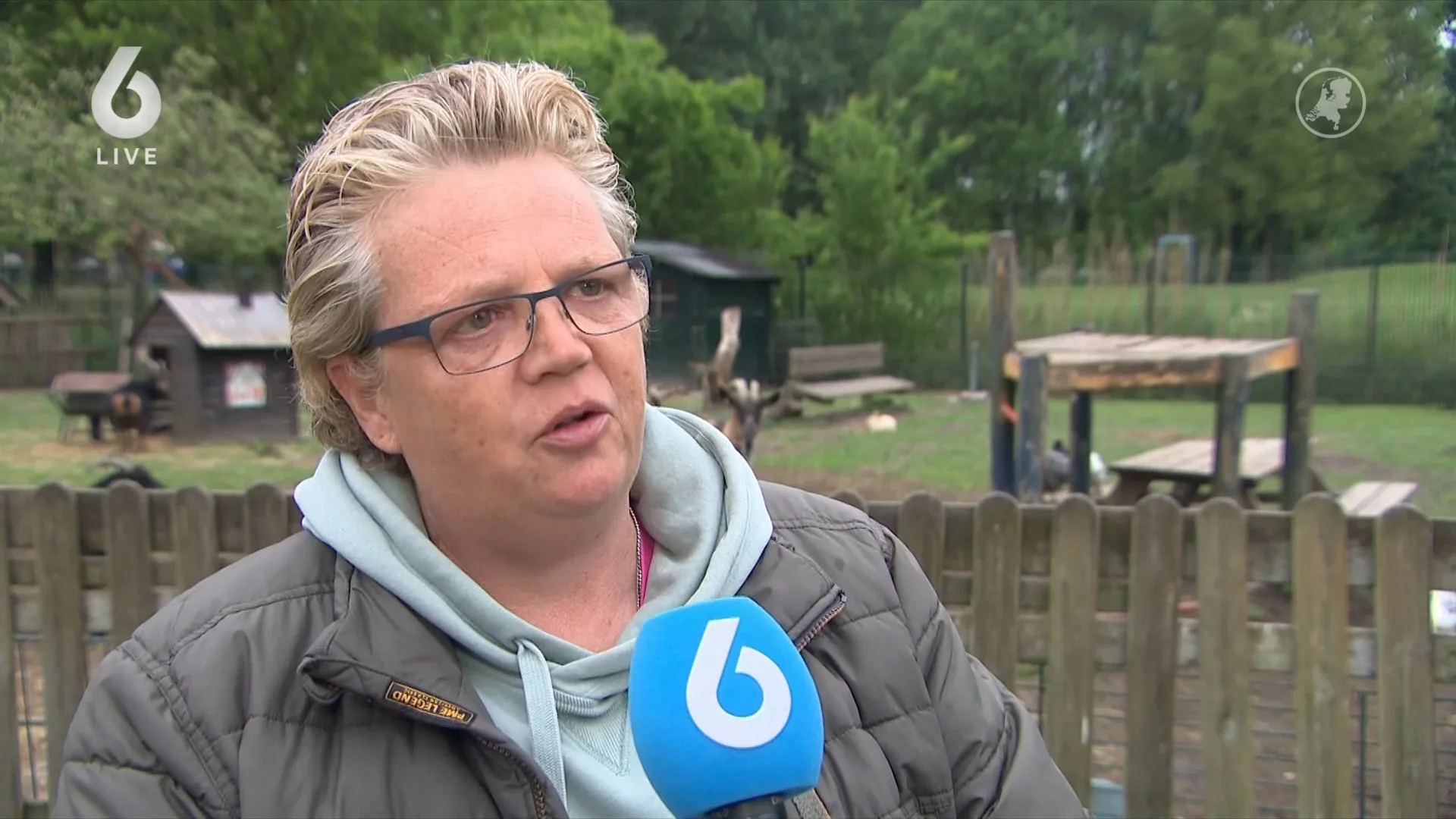 Zorgboerderij Marion moet dicht: 'Wil niet dat mijn dieren worden afgemaakt'