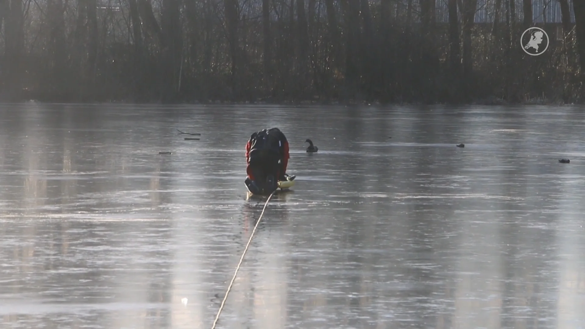 Vastzittende dieren uit het ijs gered bij Saasveld en Almelo