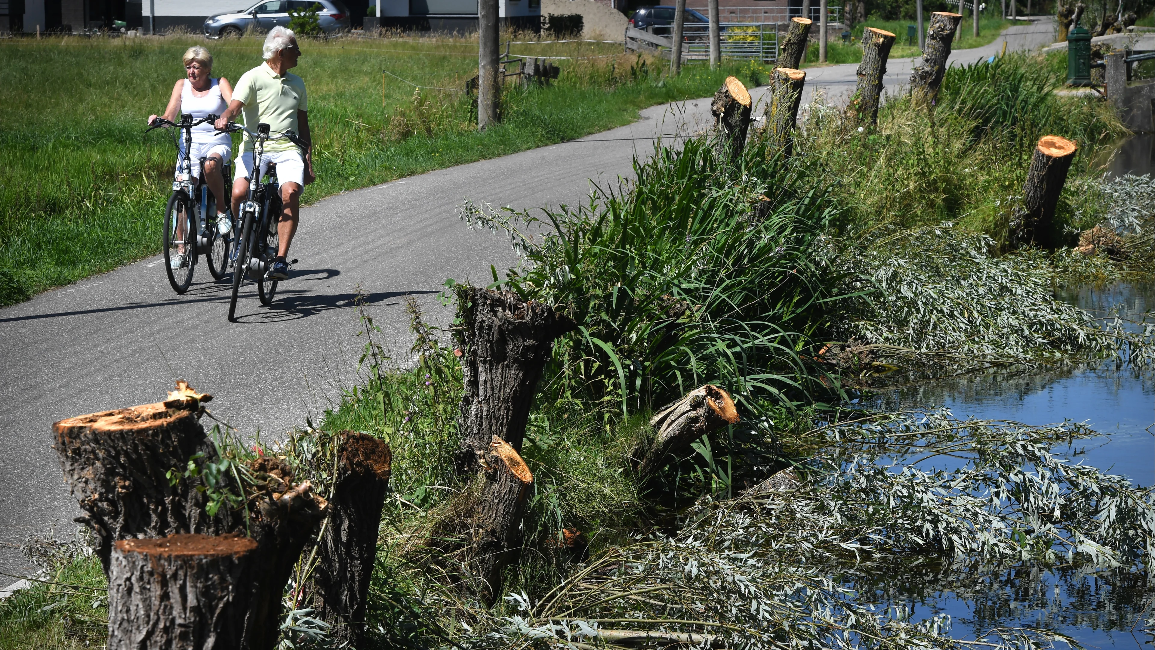 'Boer die honderd knotwilgen kapte niet bestraft'