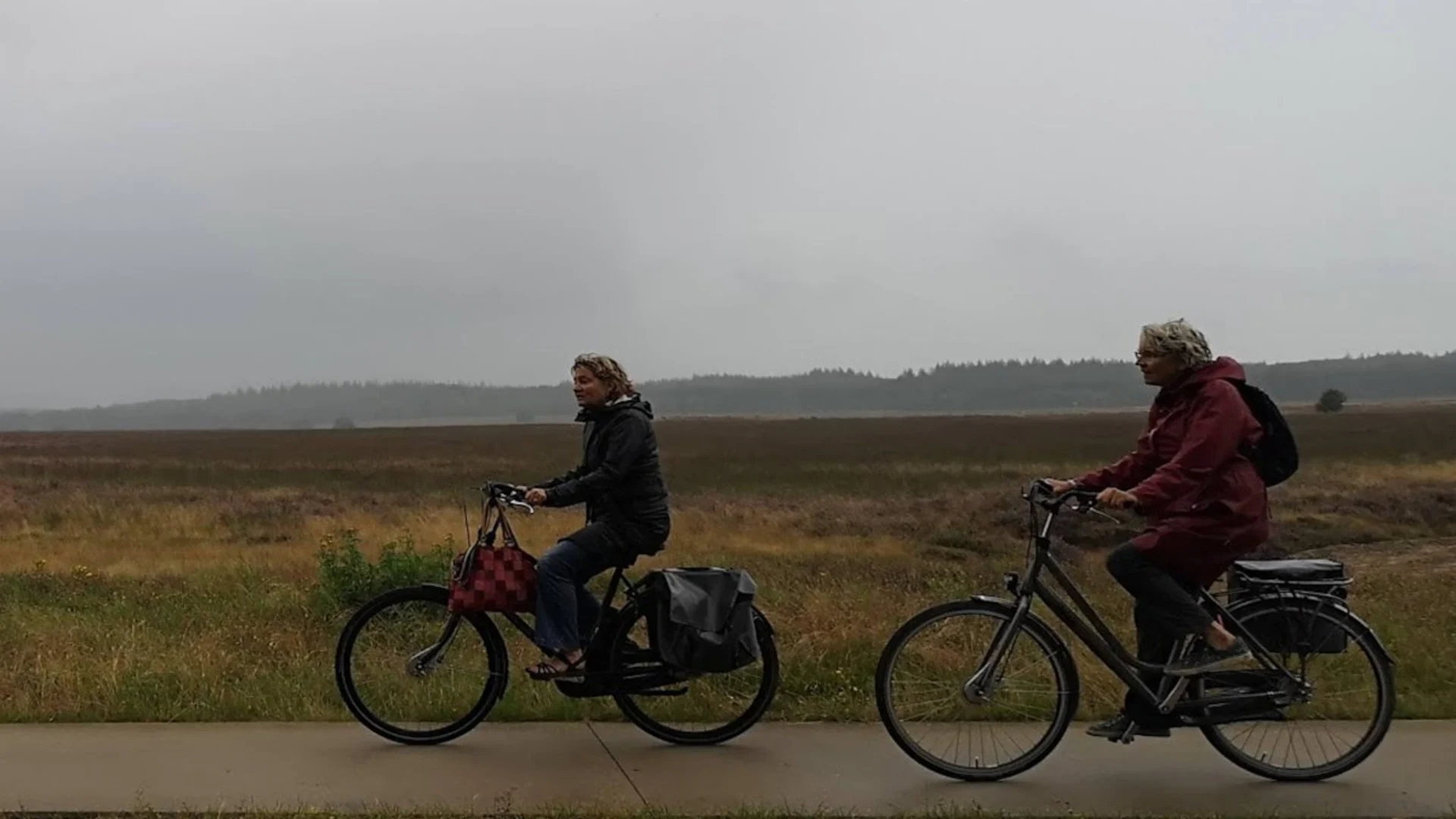 Herfstachtig weer houdt ook vandaag aan met buien en harde wind